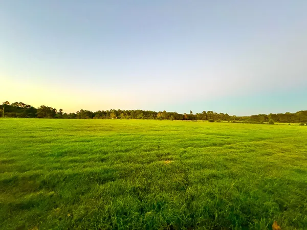 $1,298,999 | T-1 Hoke Road, Richards, TX 77873