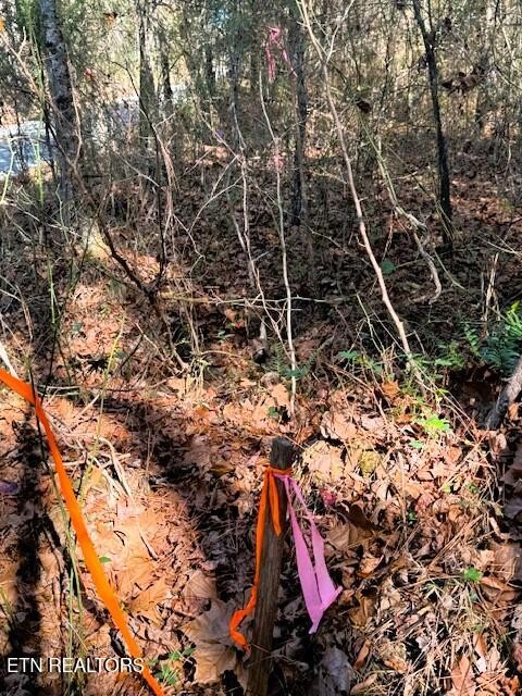 5 Redman Lane Decatur, TN 37322 - Photo 9 of 10