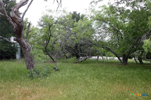 $220,000 | 7887 Pettytown Road, Red Rock, TX 78662