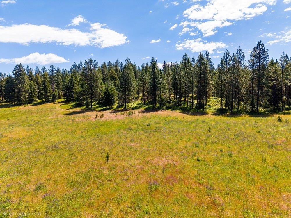 10307 Jasmine Lane Chattaroy, WA 99003 - Photo 15 of 49