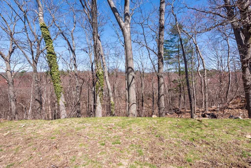 26 Longhill Road Lynn, MA 01904 - Photo 7 of 27 Gallery Image 7