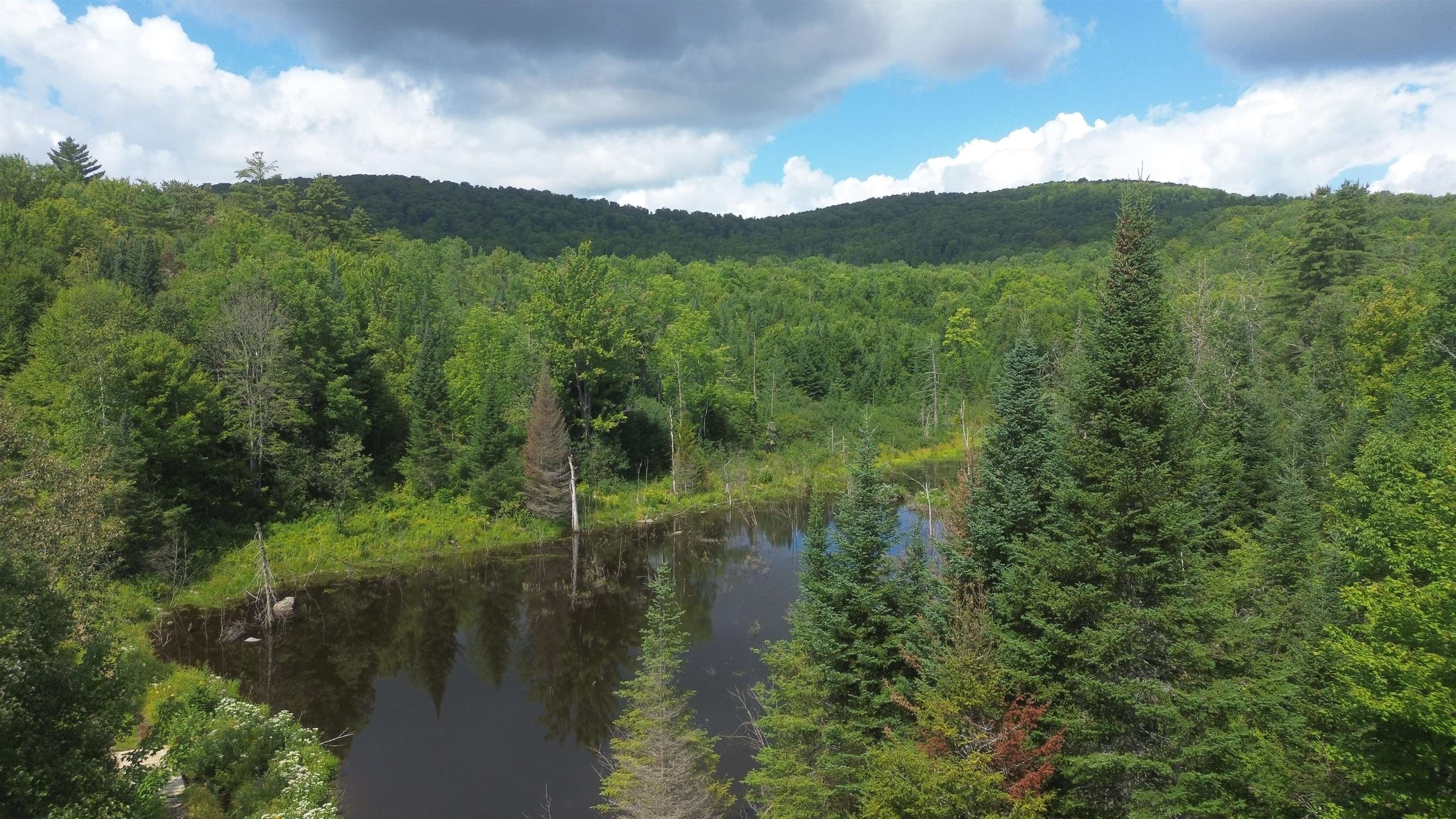 0 Old Pond Hill Road Lunenburg, VT 05906 - Photo 44 of 60 Gallery Image 44