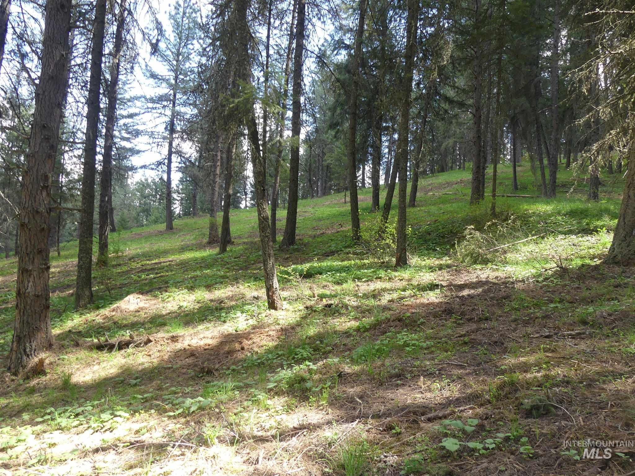 22743 Old Melrose Grade Road Peck, ID 83545 - Photo 42 of 45