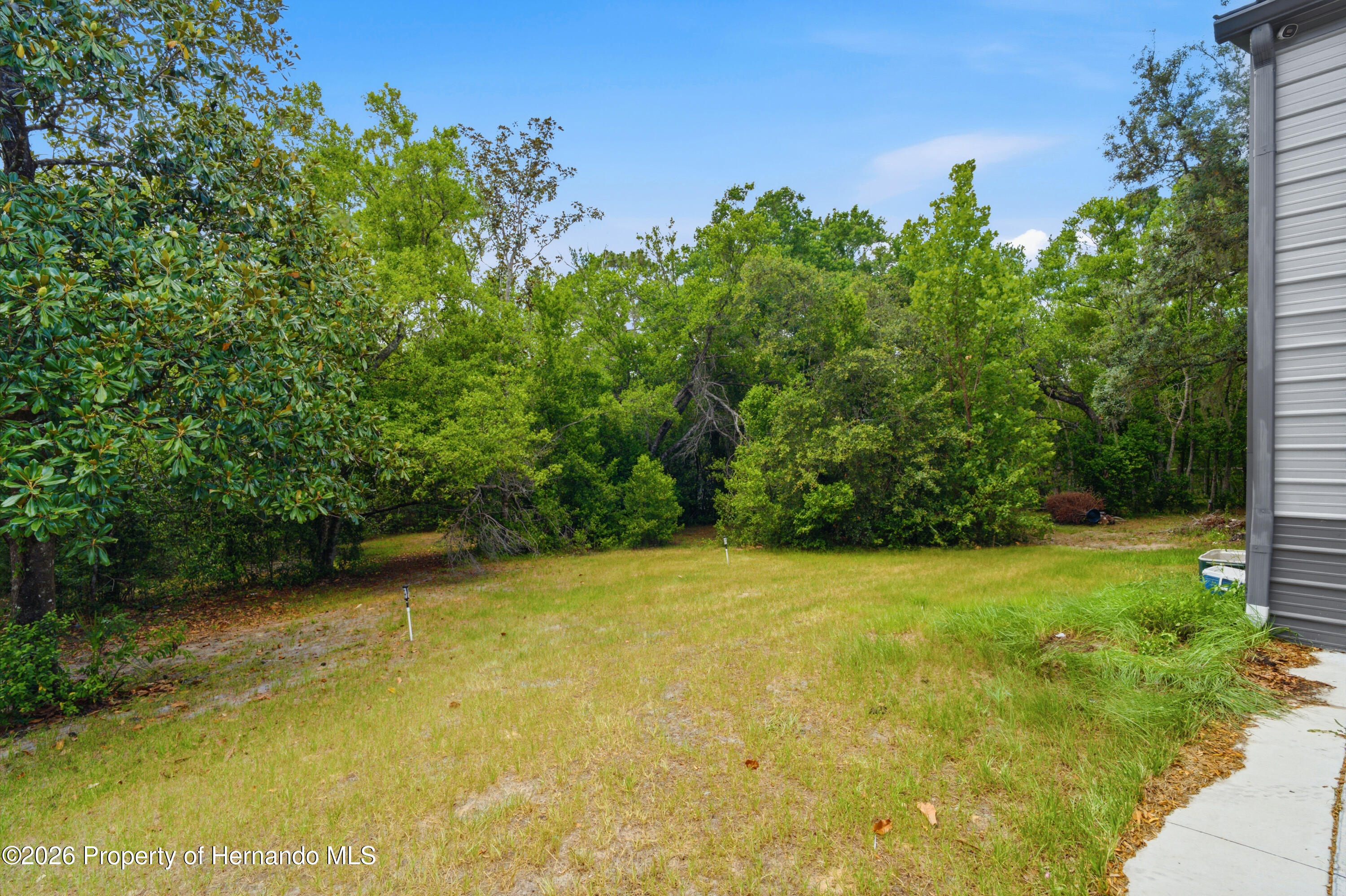 6111 Cartwrite Road Spring Hill, FL 34609 - Photo 40 of 44