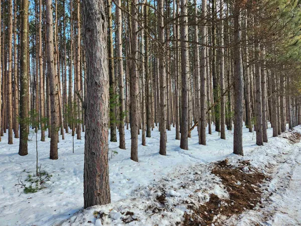 $38,900 | Lot 2 Meiller, Montello, WI 53949