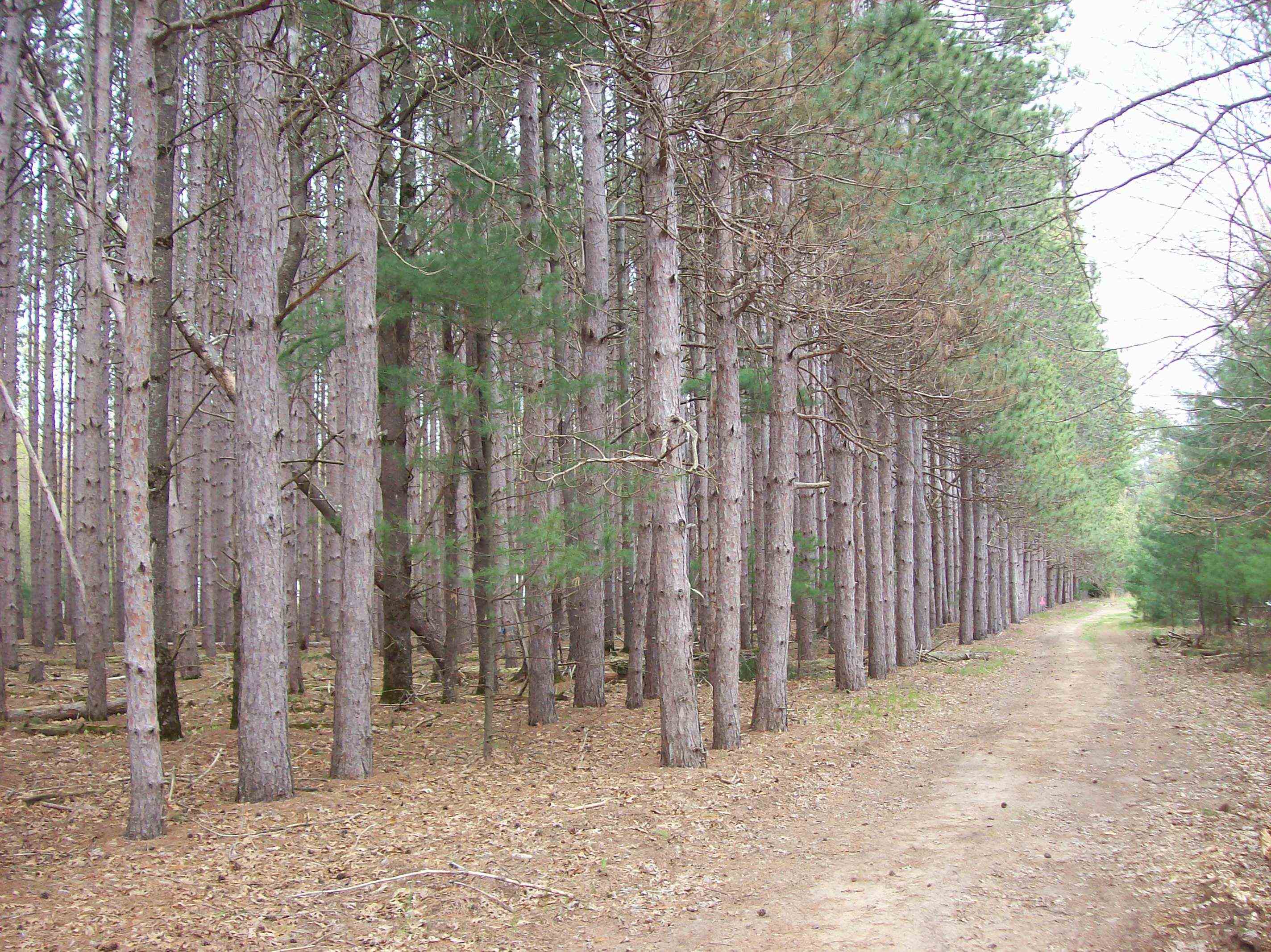 Lot 2 Meiller Montello, WI 53949 - Photo 2 of 10
