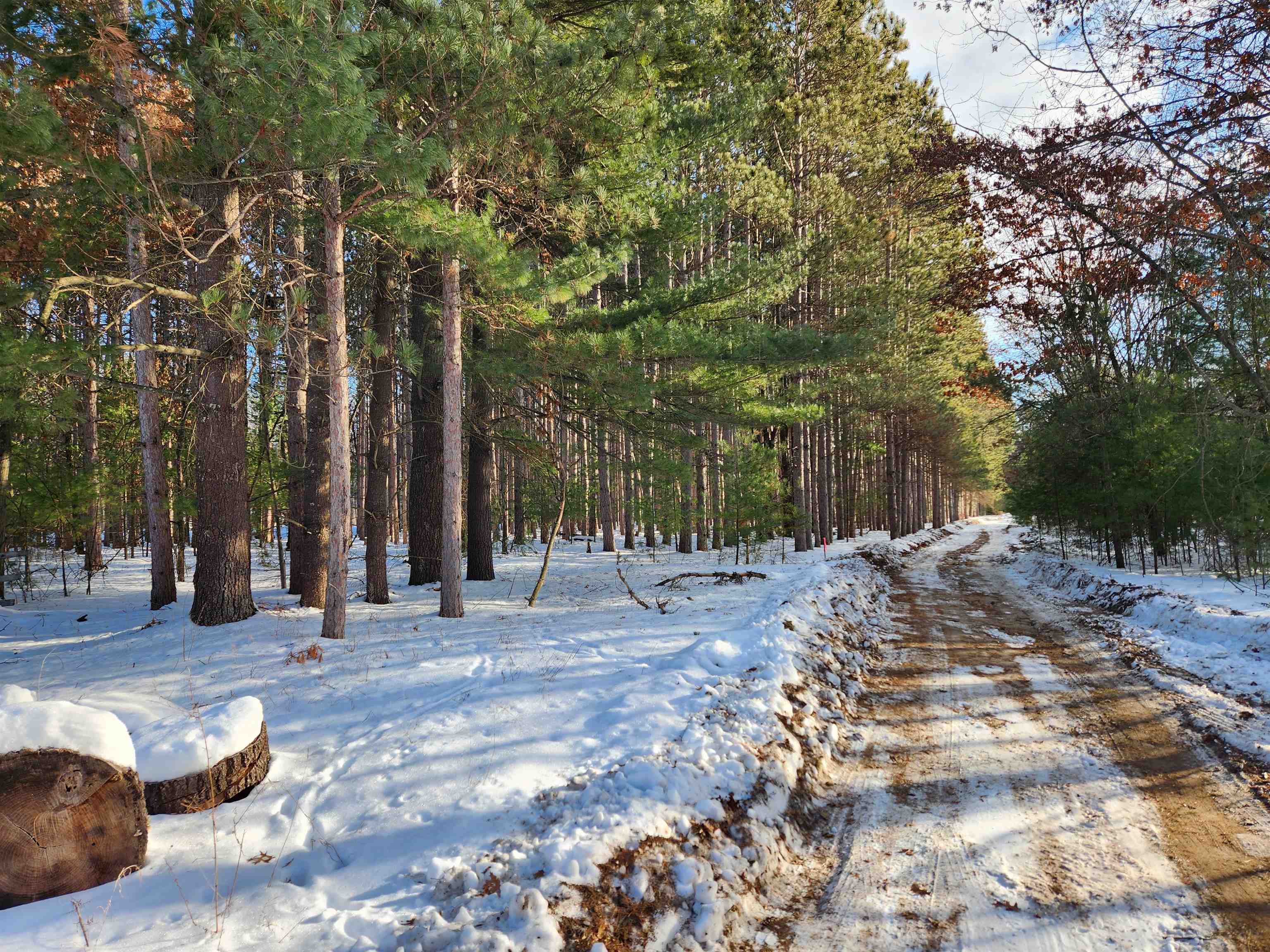 Lot 2 Meiller Montello, WI 53949 - Photo 5 of 6
