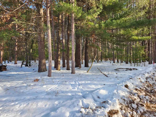 $38,900 | Lot 2 Meiller, Montello, WI 53949