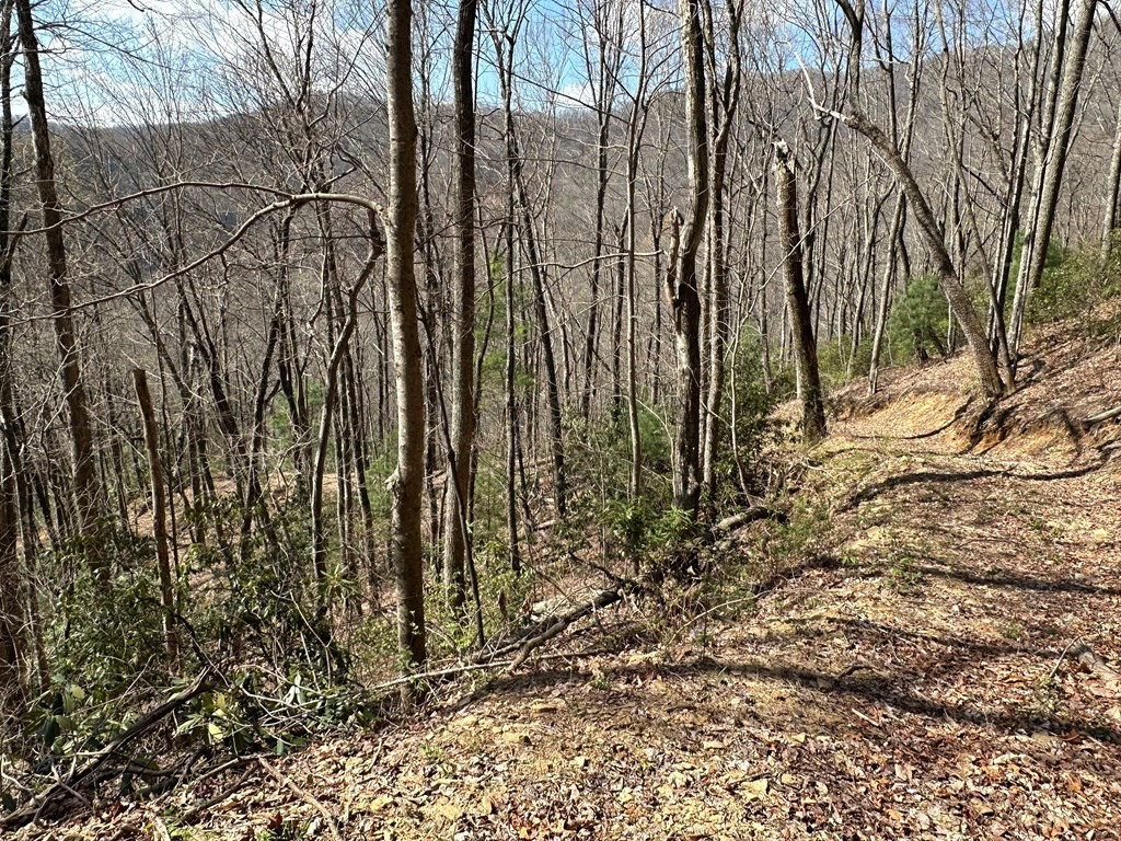 Lot 5 Huffman Creek Road Robbinsville, NC 28771 - Photo 5 of 13
