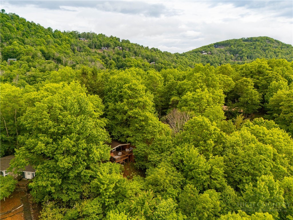 280 Chinkapin Ridge Road Seven Devils, NC 28604 - Photo 38 of 40 a view of a lush green forest with lots of trees