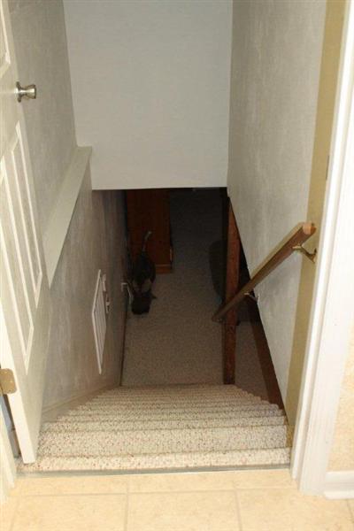 6270 Smokey Ridge Road Roanoke, VA 24018 - Photo 40 of 48 StairstoLowerLevel