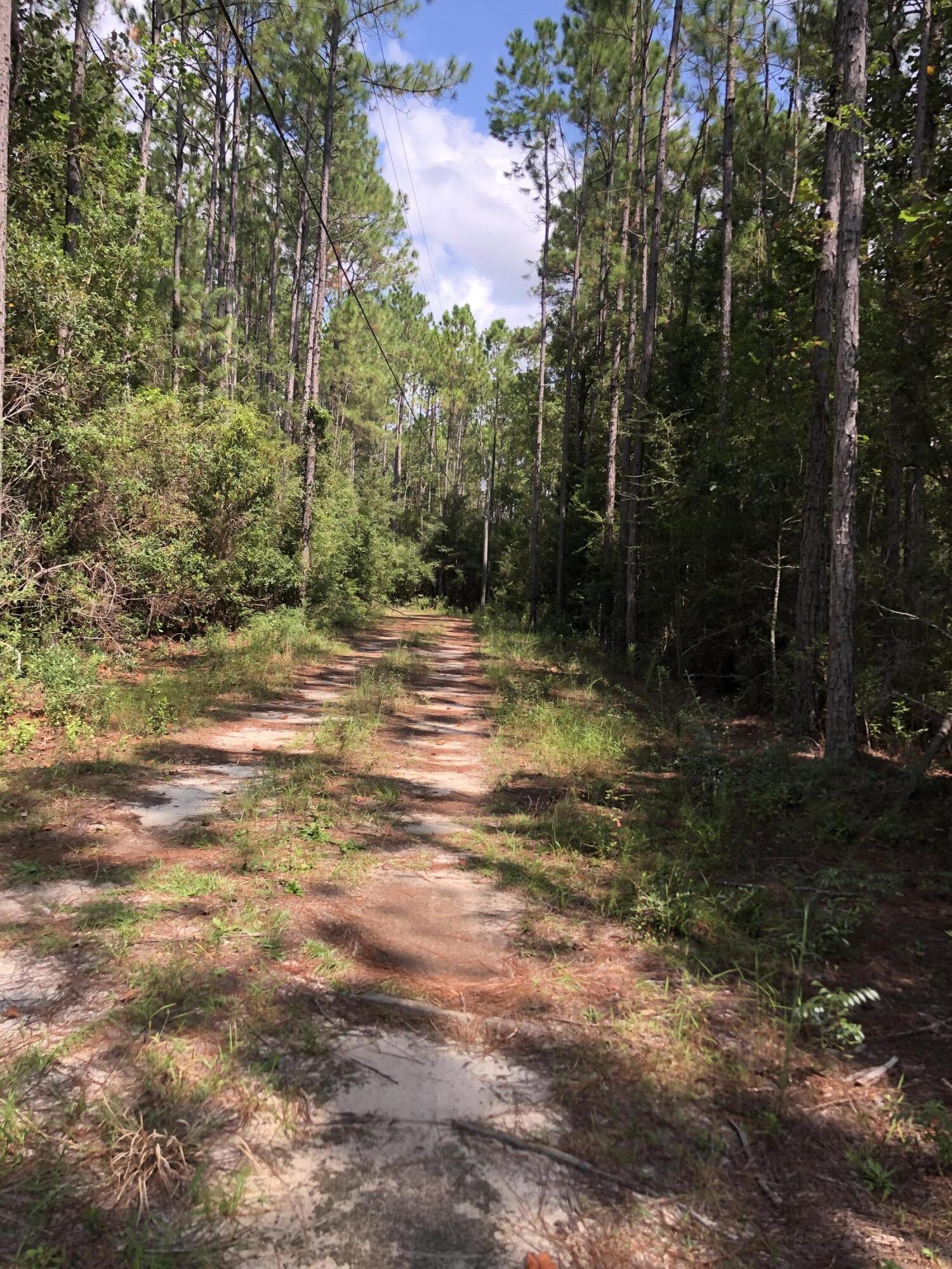 Lot 19 Nicole Road Freeport, FL 32439 - Photo 3 of 6 IMG_6187