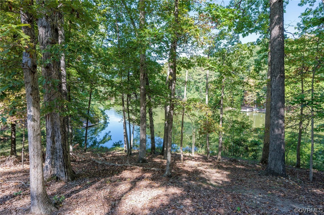 2831 West Brigstock Road Midlothian, VA 23113 - Photo 8 of 49 a view of a forest filled with trees