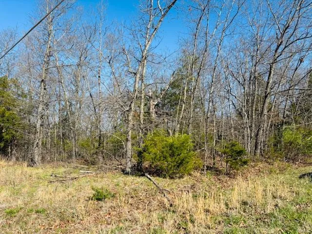 $38,500 | 800 Lakeshore Drive, Cuba, MO 65453