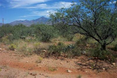355 Via Naranja Rio Rico, AZ 85648 - Photo 5 of 7
