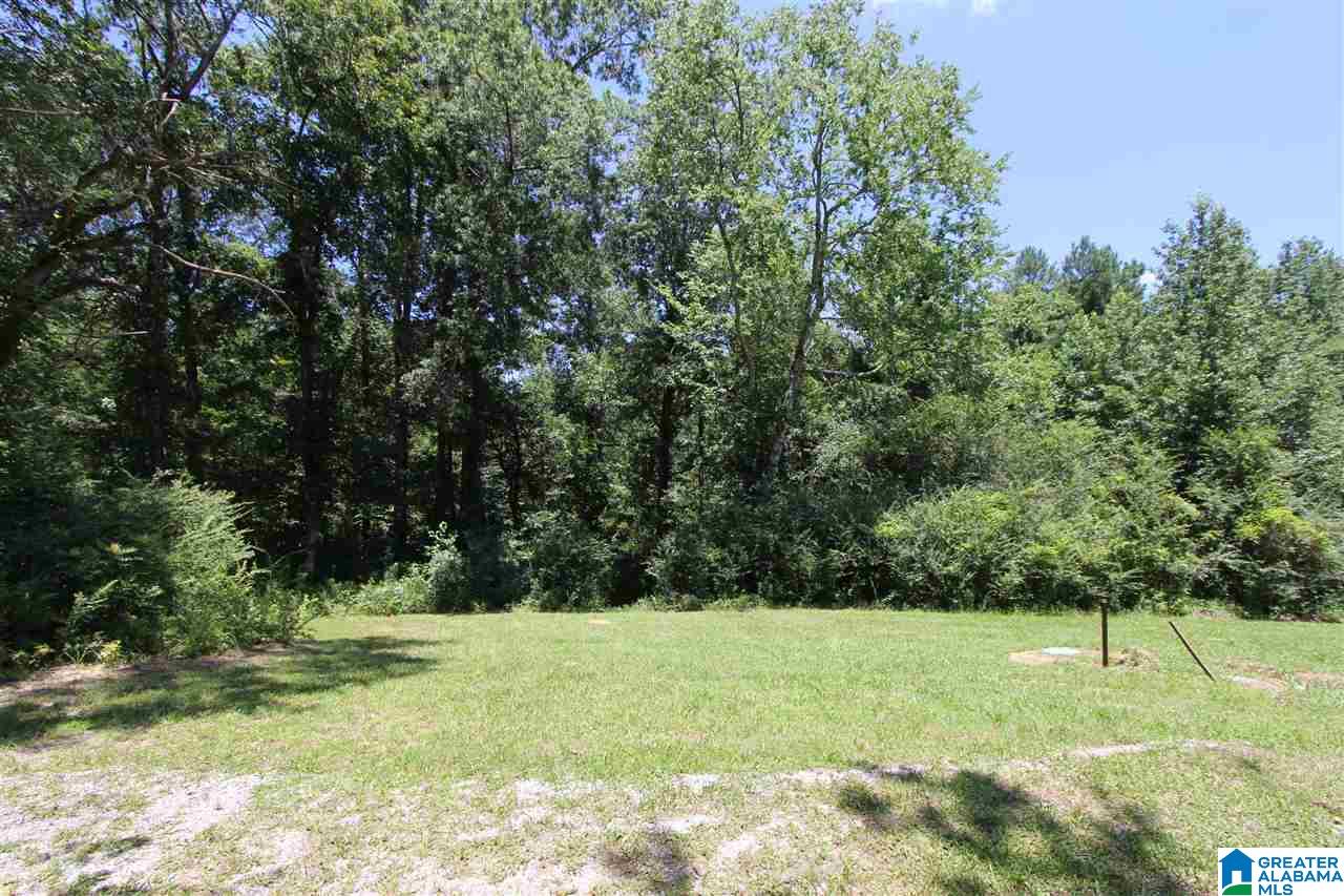 4363 Old Sulphur Springs Road Wellington, AL 36279 - Photo 31 of 37