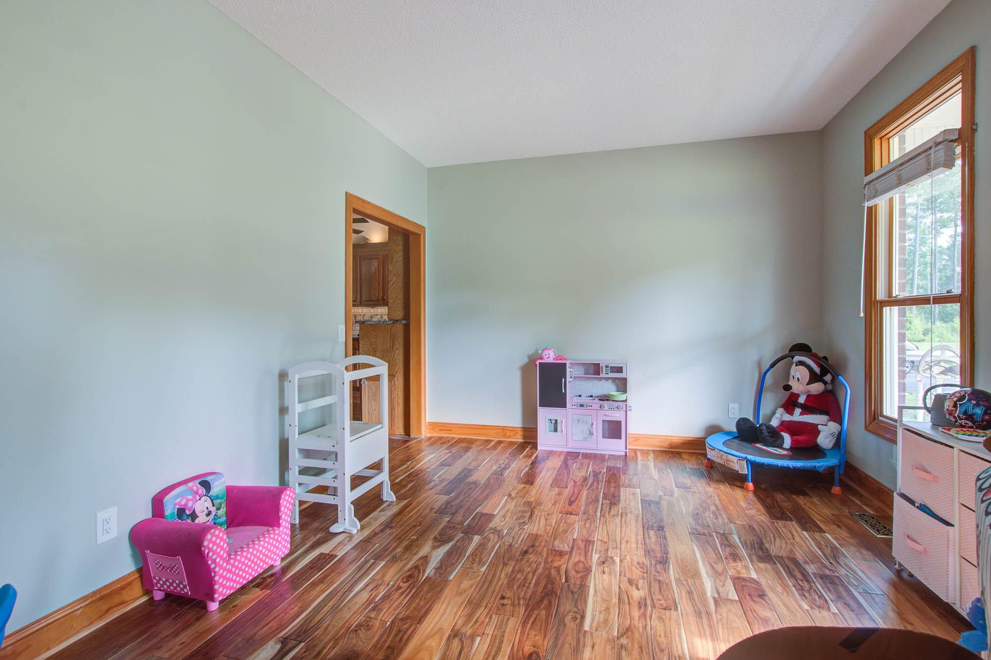 135 Brant Acres Lane Bonneau, SC 29431 - Photo 22 of 50 Currently Play room