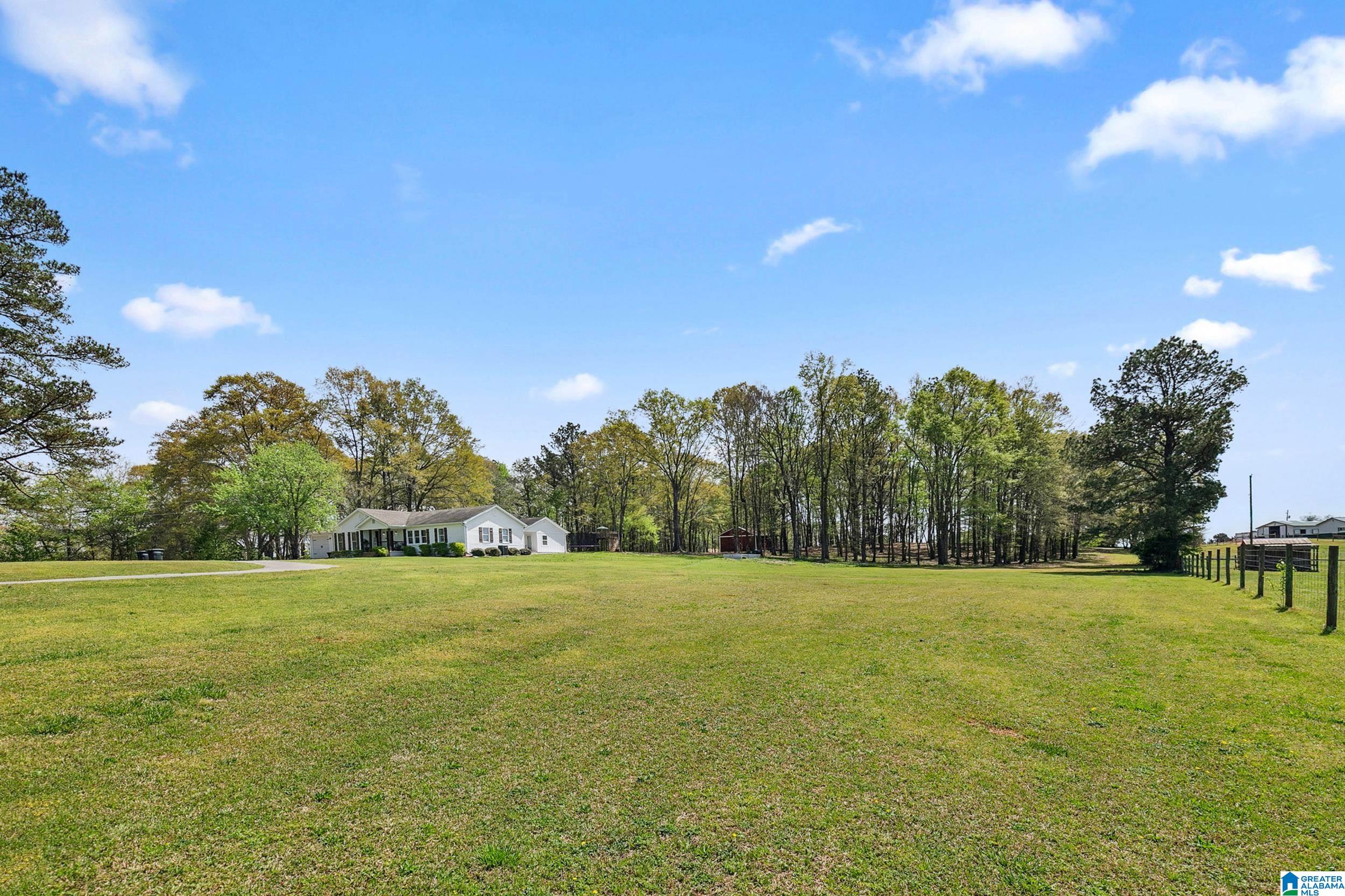 2350 Blue Springs Road Wilsonville, AL 35186 - Photo 3 of 31