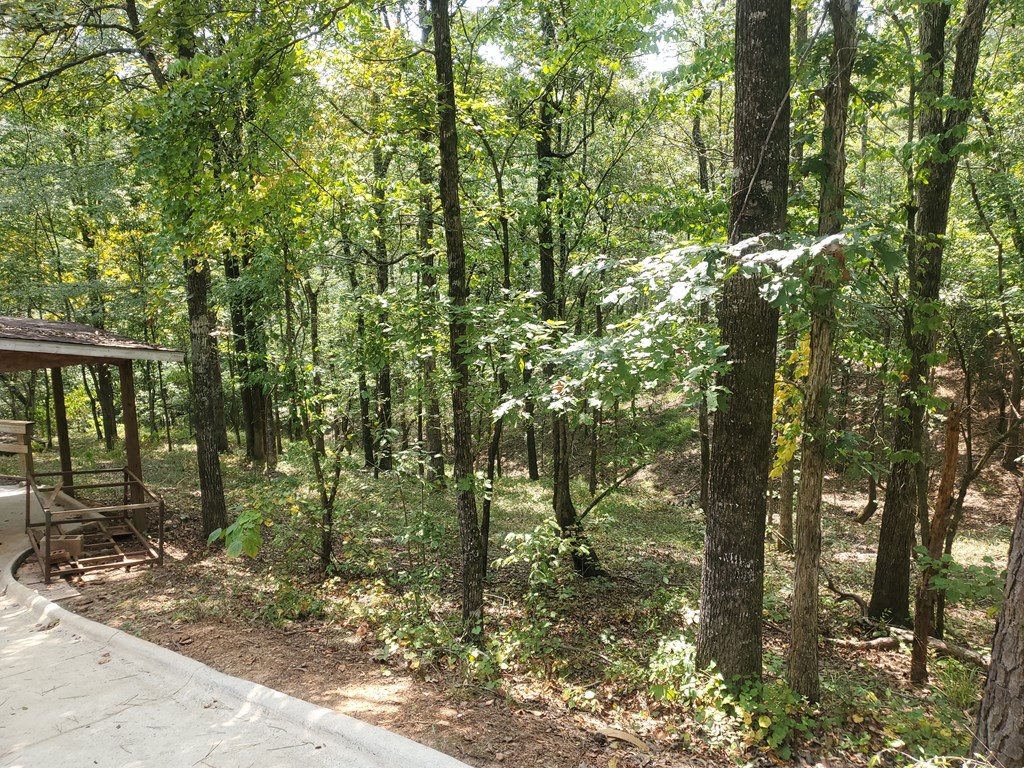 3754 Old River Road Fortson, GA 31808 - Photo 27 of 27 Gallery Image 27