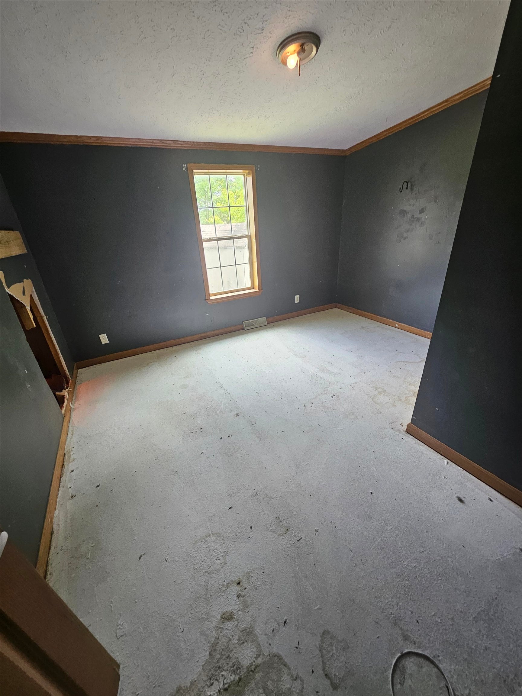 567 Sandy Ridge Road Glenwood, WV 25520 - Photo 14 of 23 Gallery Image 14