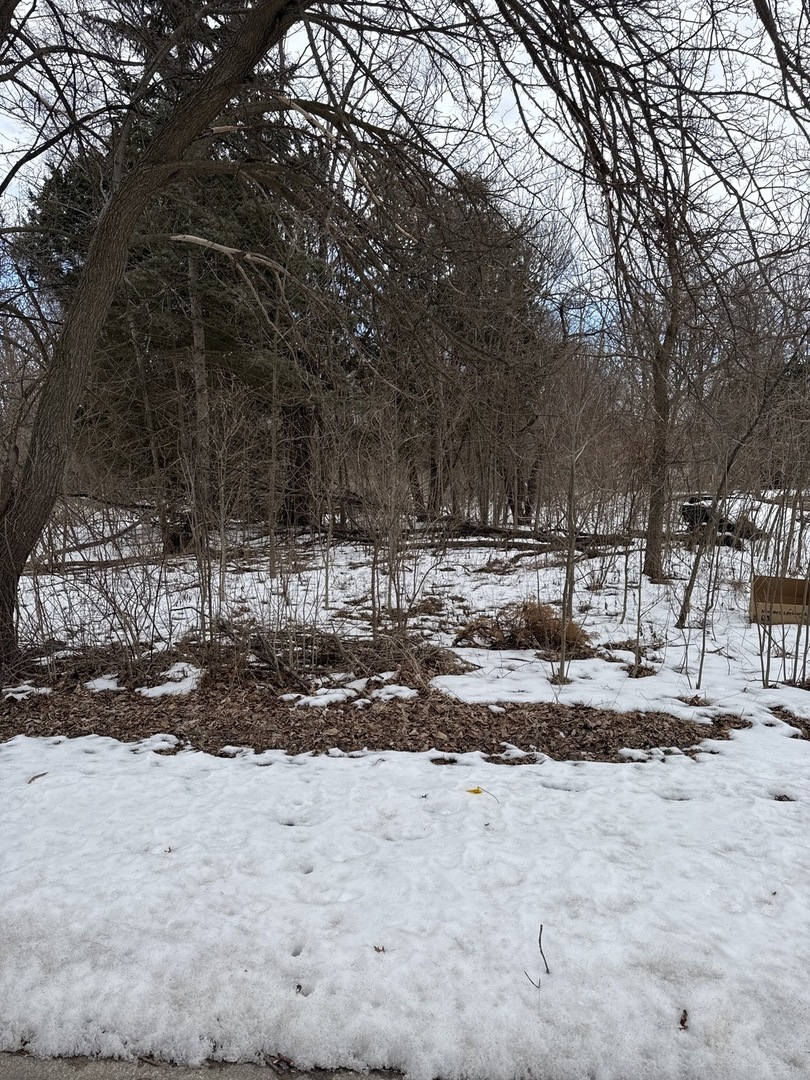 a view of a yard with snow on the road