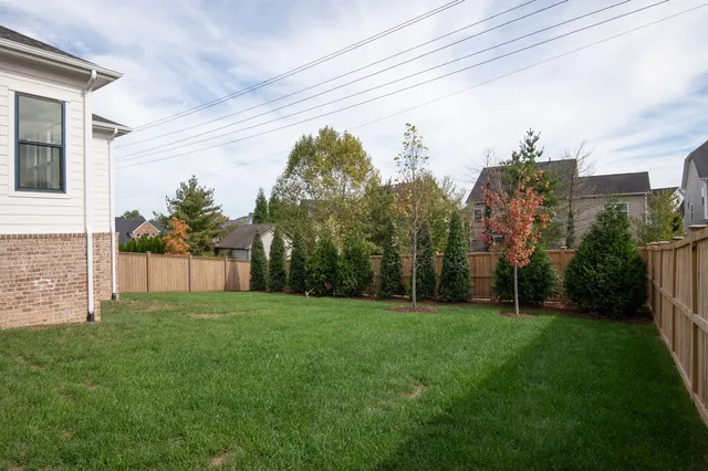 a view of a back yard