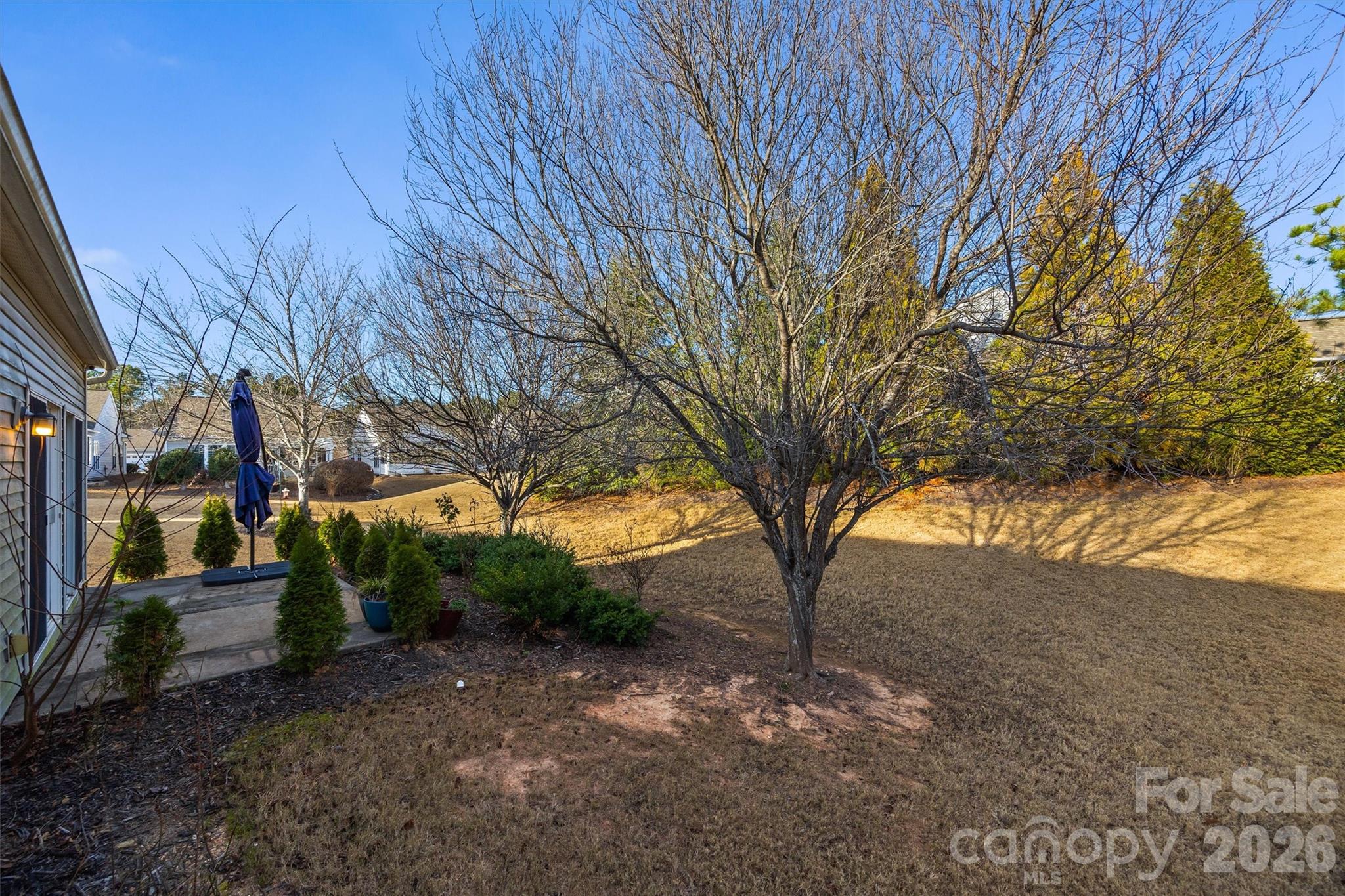 2227 Lilac Lane Fort Mill, SC 29707 - Photo 26 of 42 a view of backyard with tree