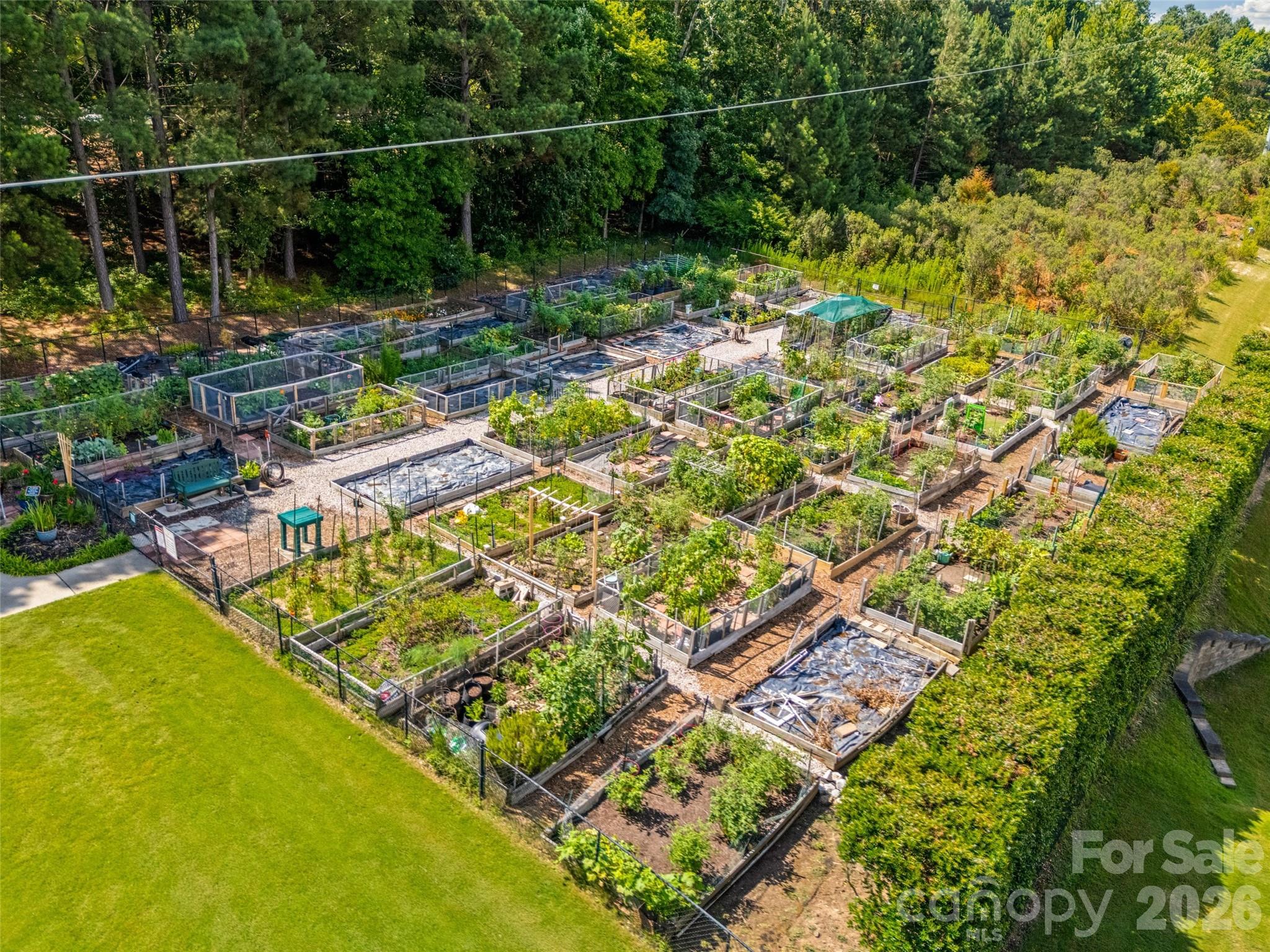 2227 Lilac Lane Fort Mill, SC 29707 - Photo 30 of 42 a garden view
