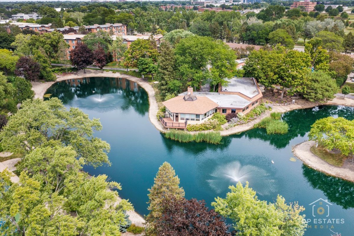 1227 South Old Wilke Road, Unit 201 Rolling Meadows, IL 60005 - Photo 38 of 40 an aerial view of a house with a lake view