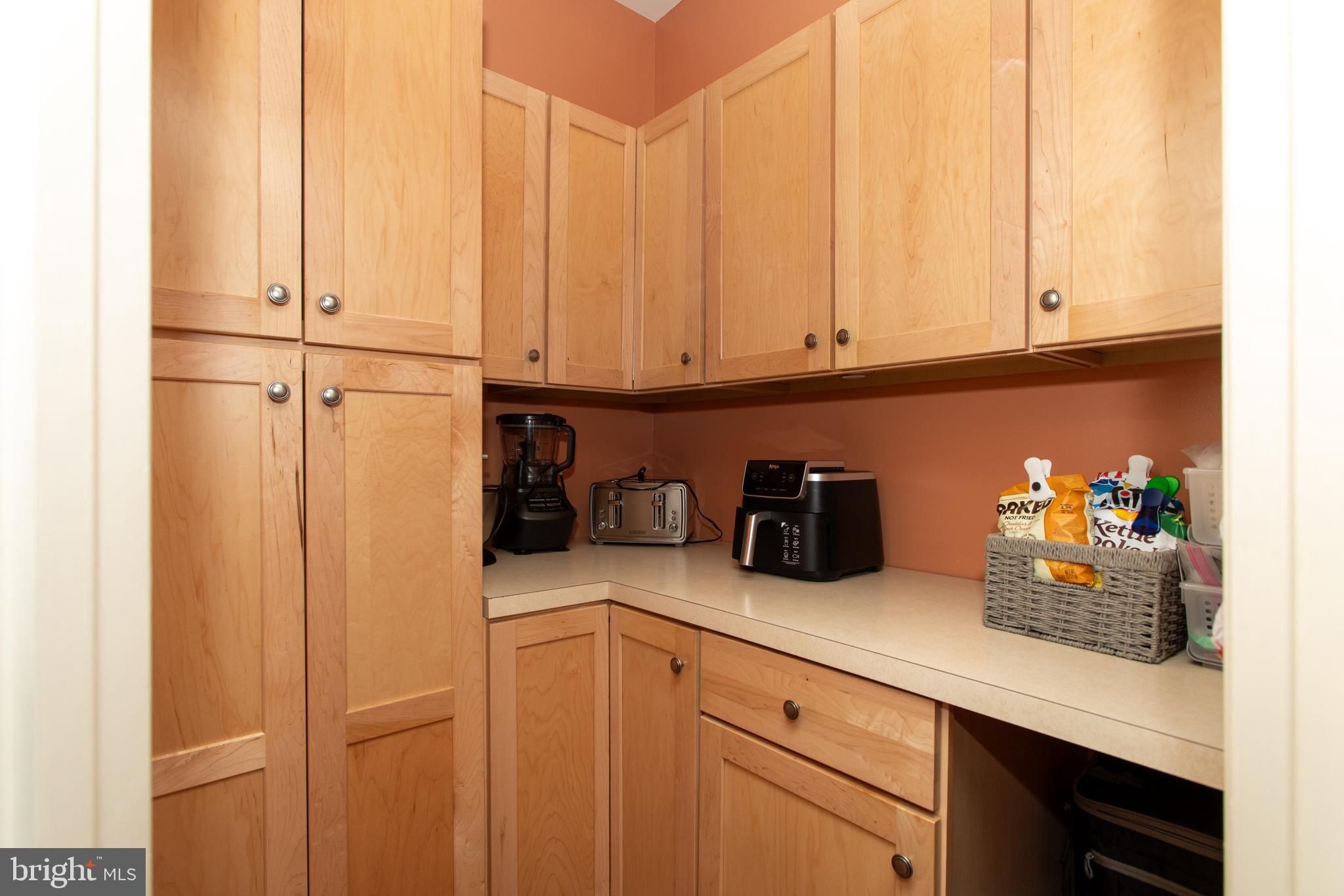 6901 Accokeek Road Brandywine, MD 20613 - Photo 26 of 82 Hidden butlers pantry