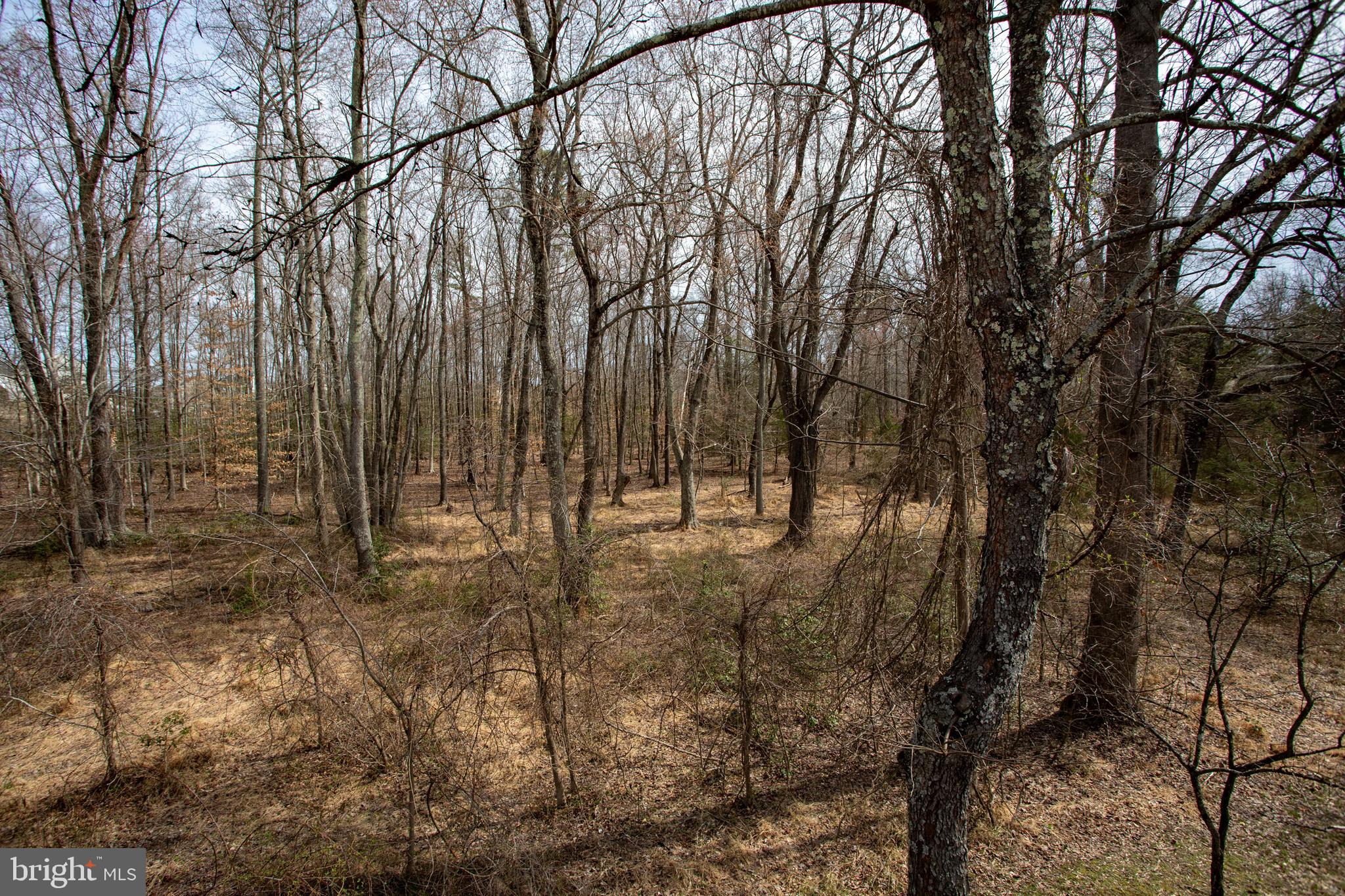 6901 Accokeek Road Brandywine, MD 20613 - Photo 68 of 82