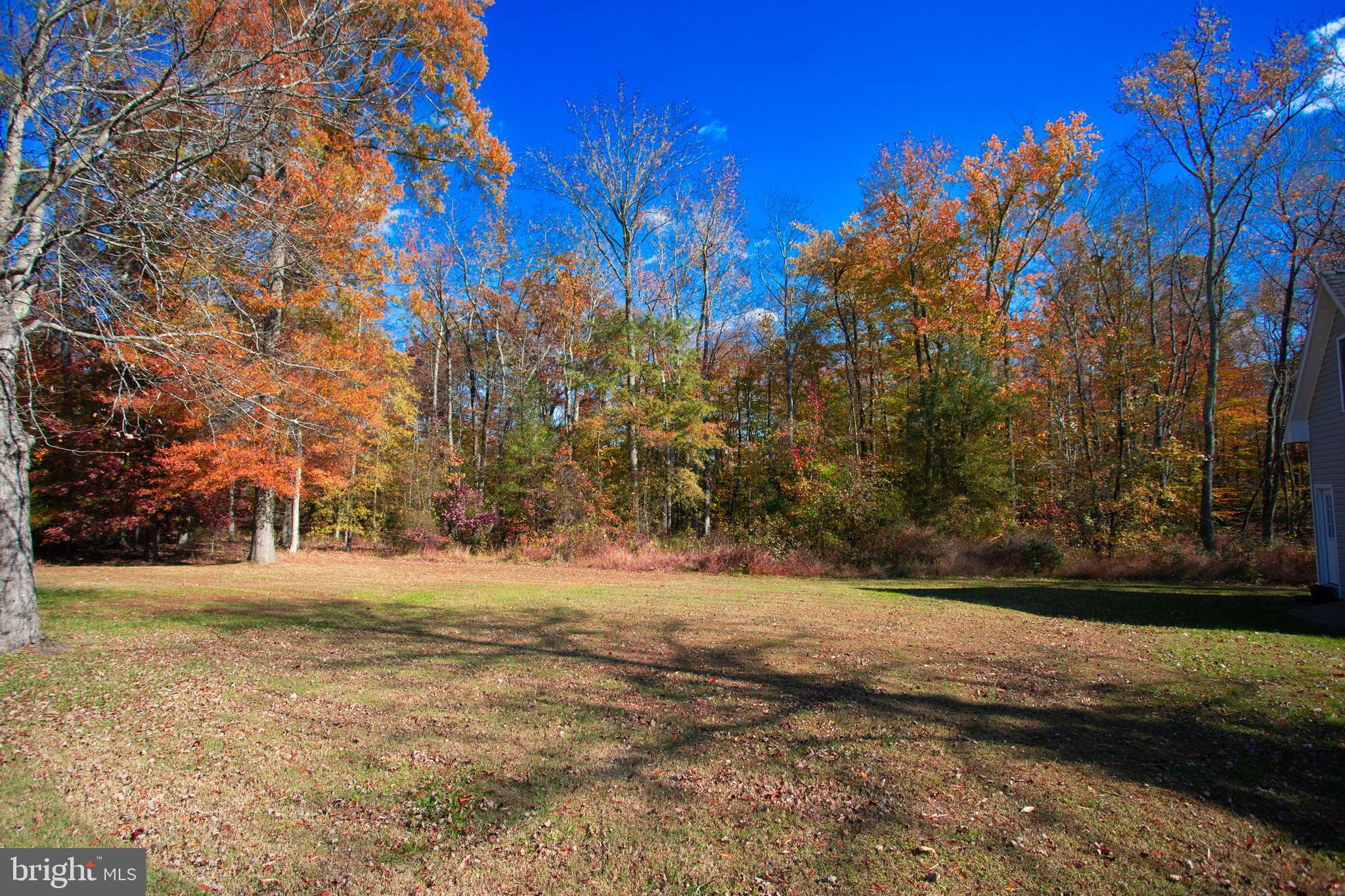 6901 Accokeek Road Brandywine, MD 20613 - Photo 80 of 82 a view of dirt yard with a large tree