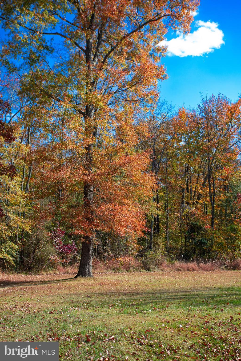 6901 Accokeek Road Brandywine, MD 20613 - Photo 81 of 82 a view of a yard with an outdoor space