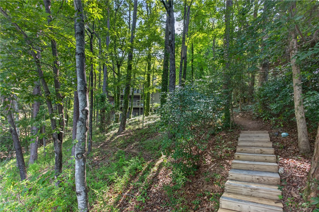 12 Lookout Lane Salem, SC 29676 - Photo 42 of 47 Combination of steps and natural path to the deep water covered dock.