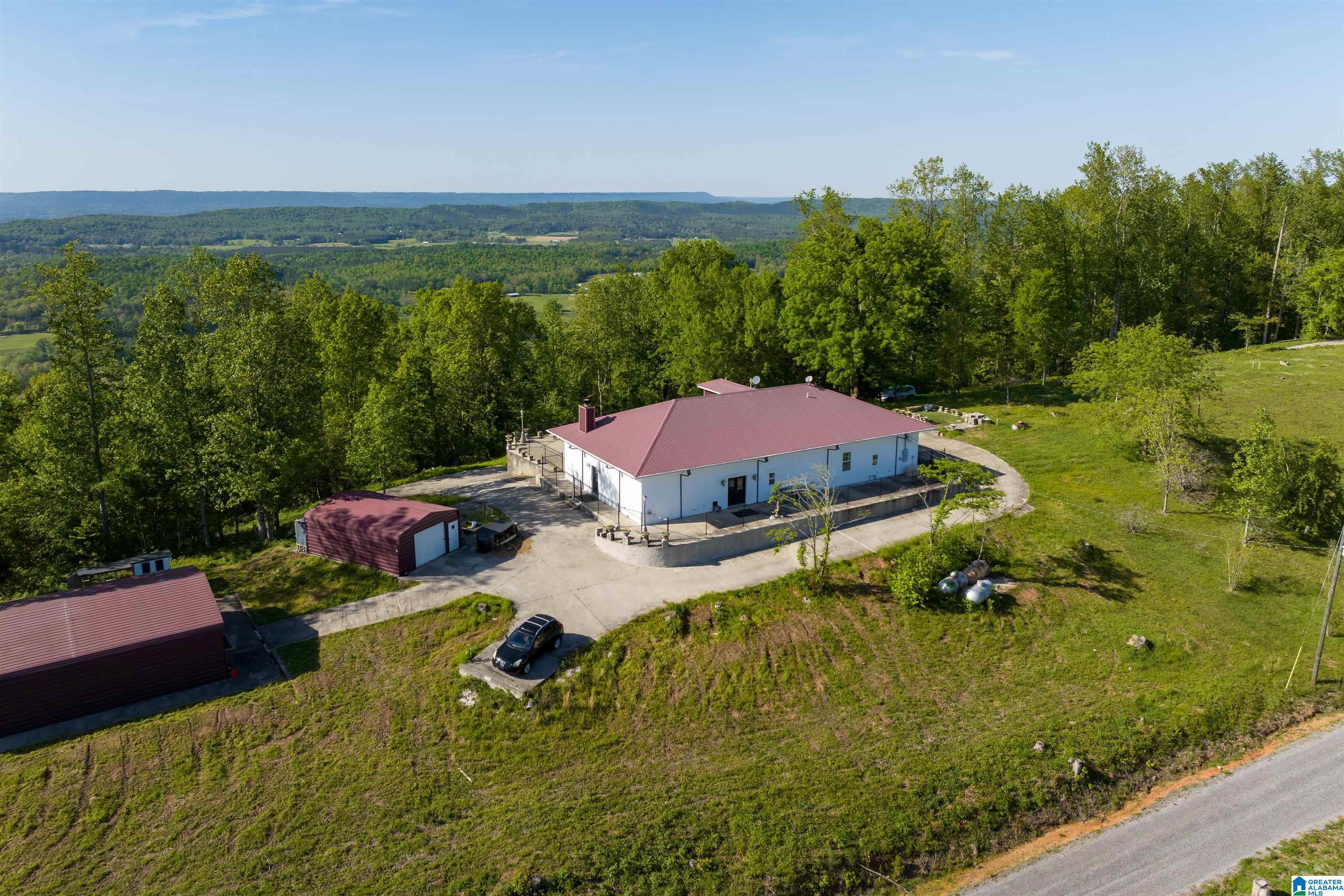 1905 Beaver Mountain Road Ashville, AL 35953 - Photo 1 of 48
