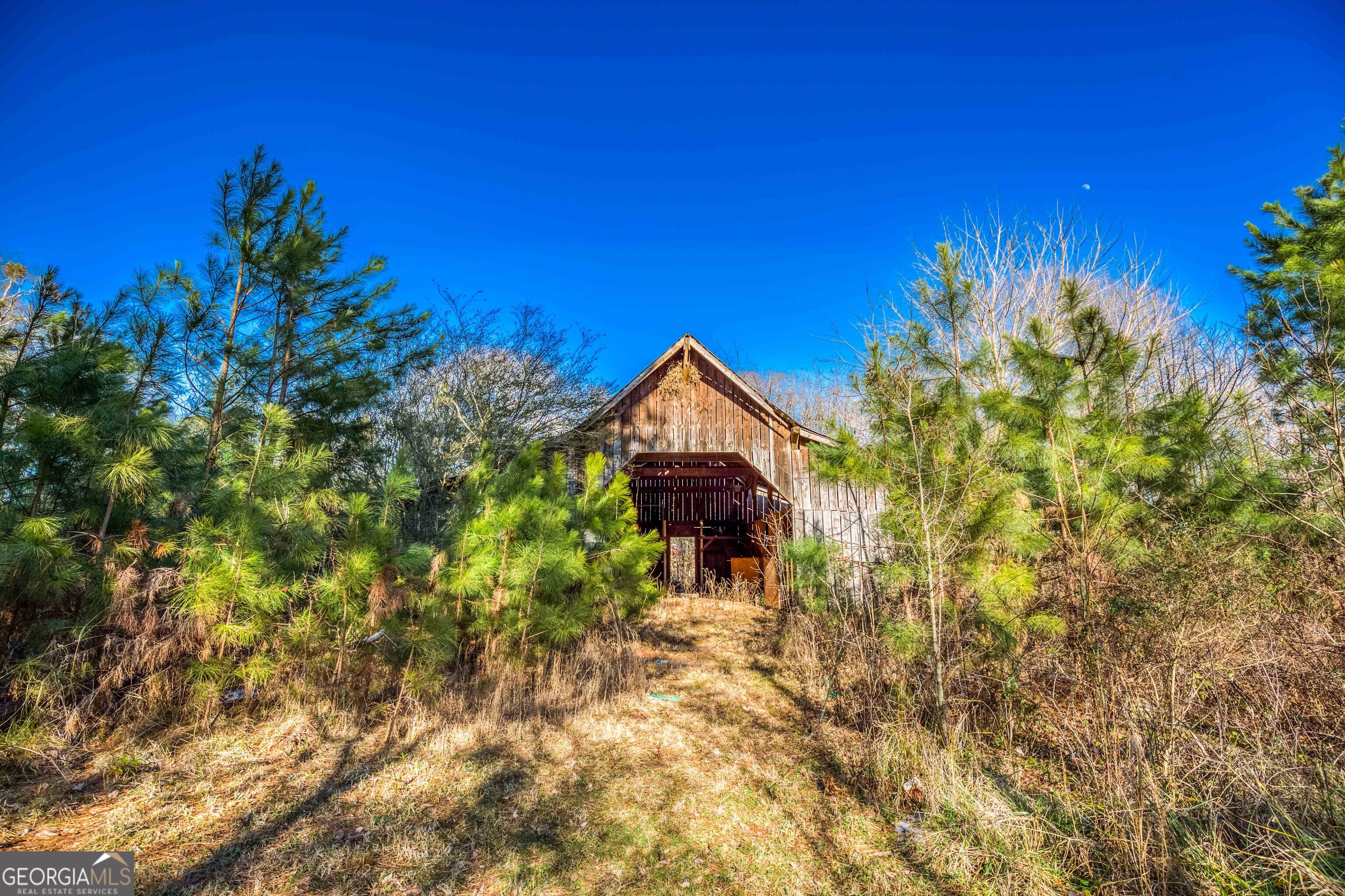 3207 Jack Glass Road Monroe, GA 30656 - Photo 4 of 10 a view of a house with a tree
