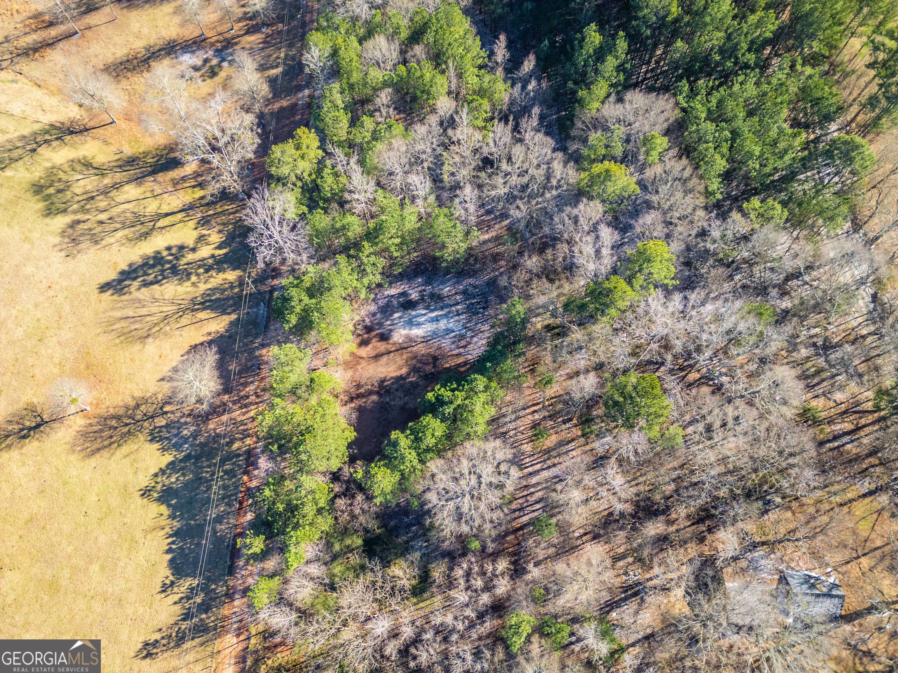 3207 Jack Glass Road Monroe, GA 30656 - Photo 9 of 10 a backyard of a house