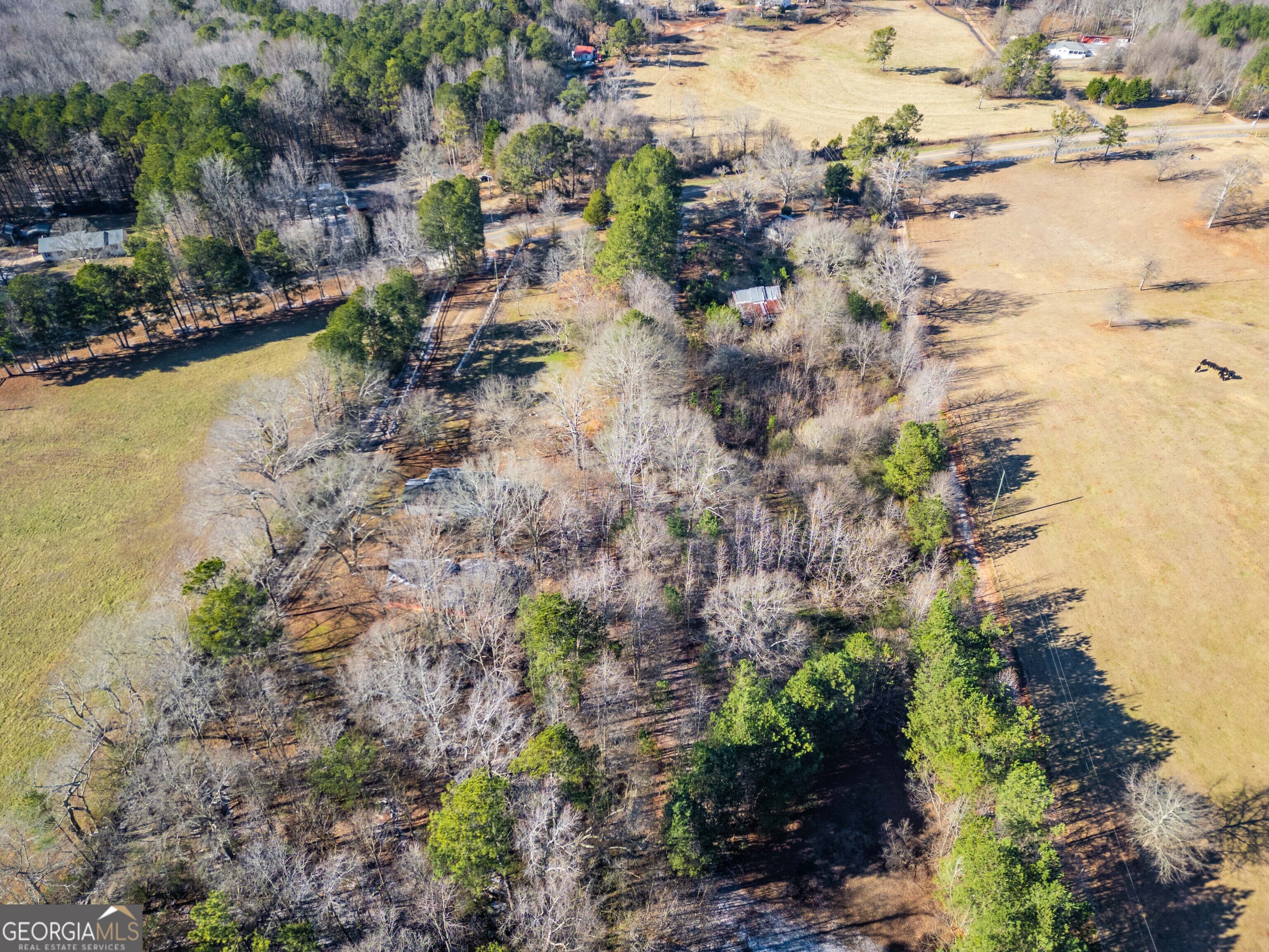 3207 Jack Glass Road Monroe, GA 30656 - Photo 10 of 10 a view of ocean view