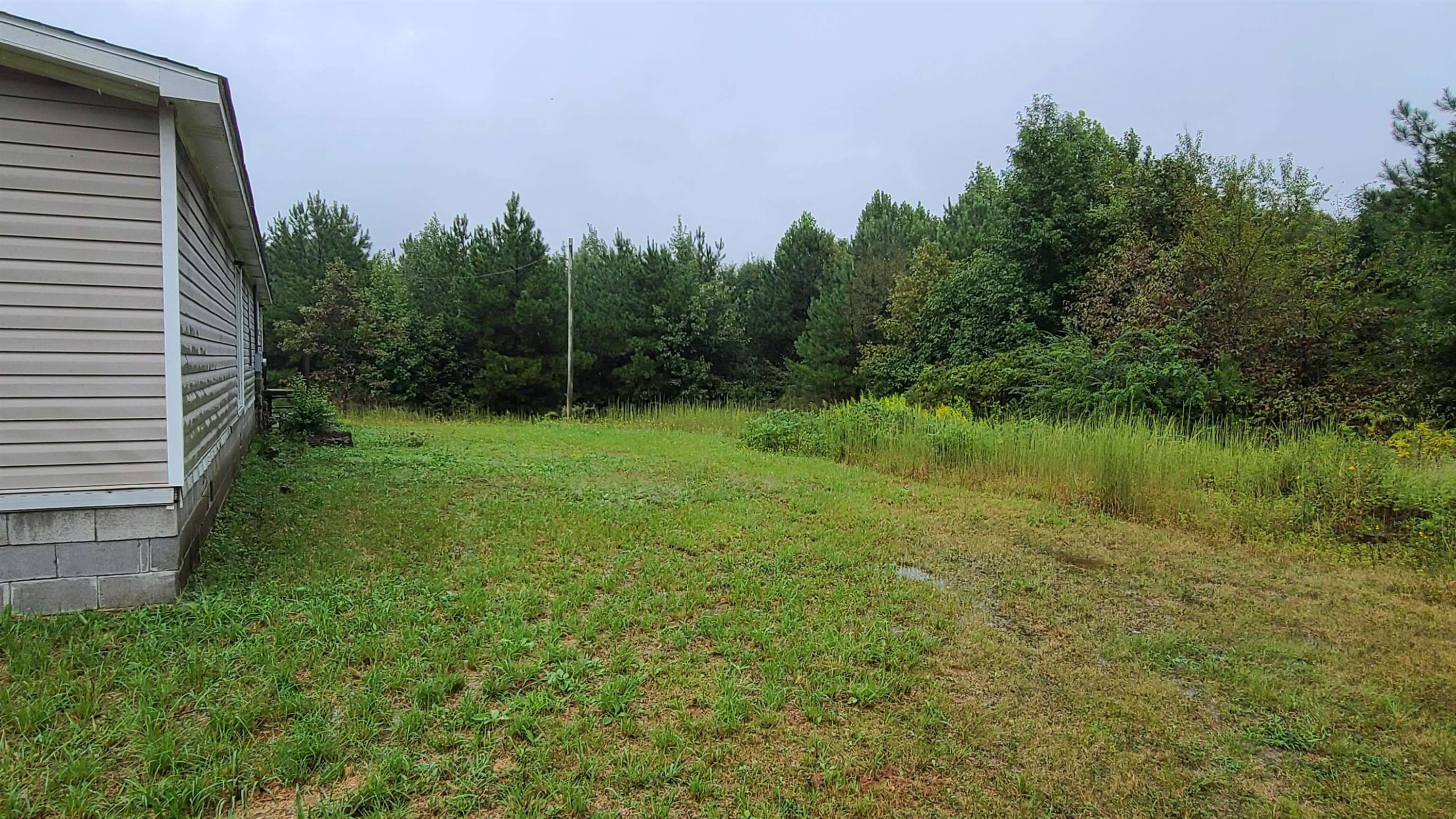 446 County Line Road Wildersville, TN 38388 - Photo 21 of 23 Photo 21