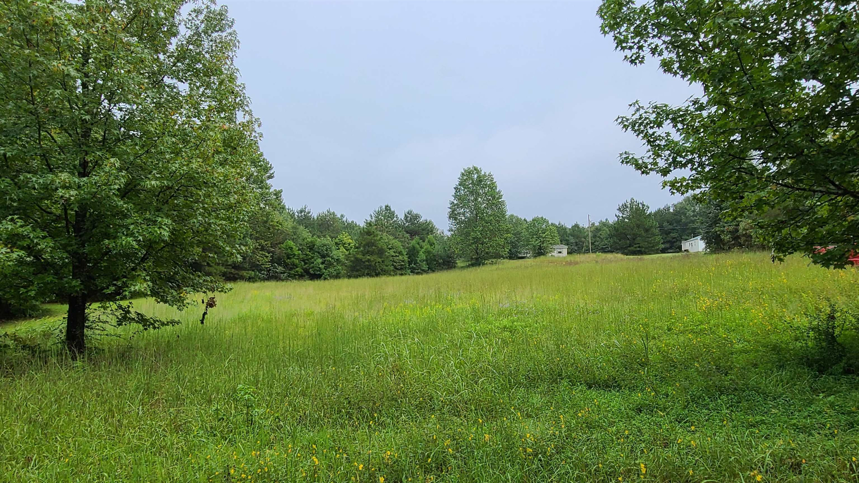 446 County Line Road Wildersville, TN 38388 - Photo 22 of 23 Photo 22