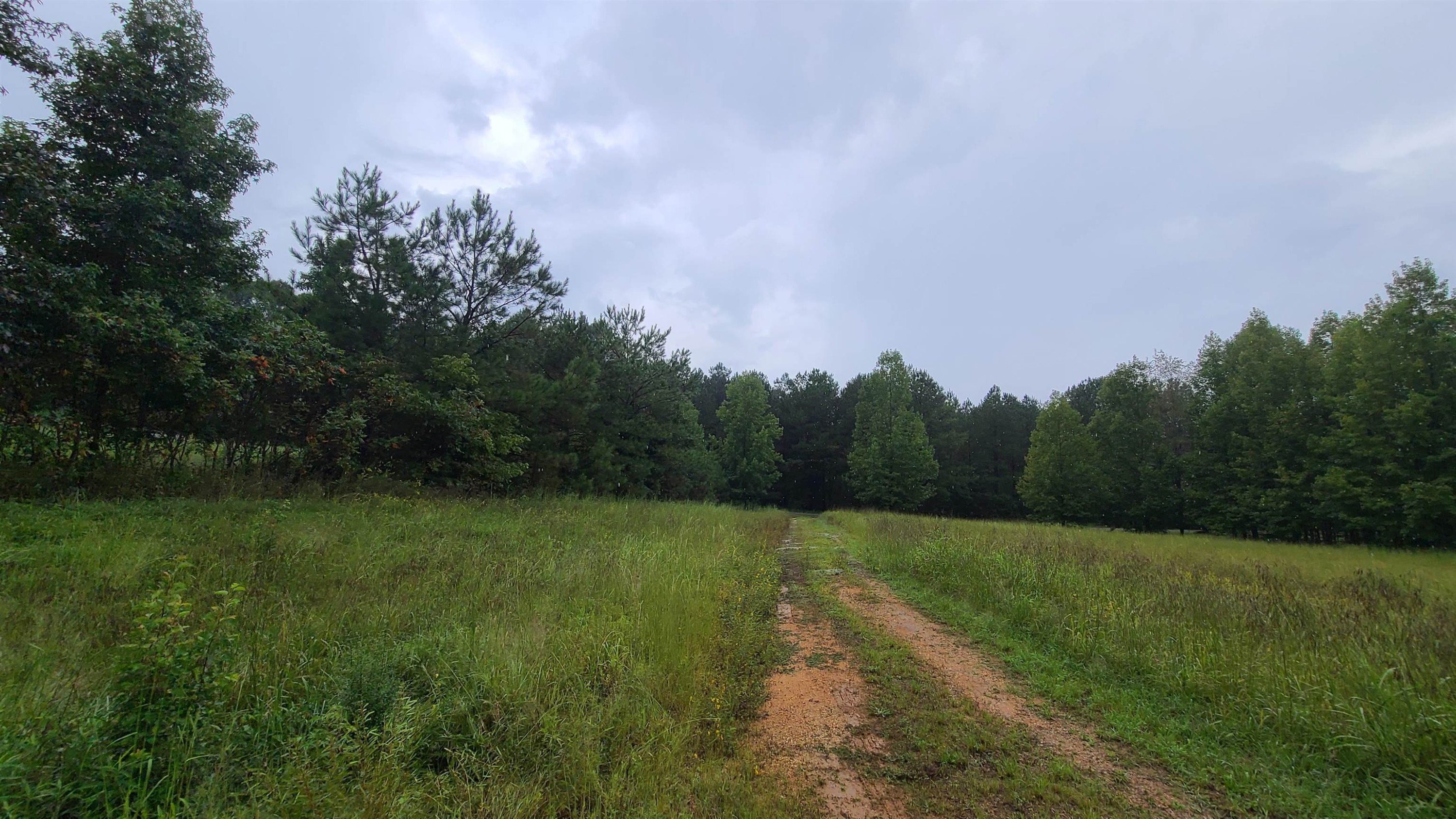 446 County Line Road Wildersville, TN 38388 - Photo 23 of 23 Photo 23