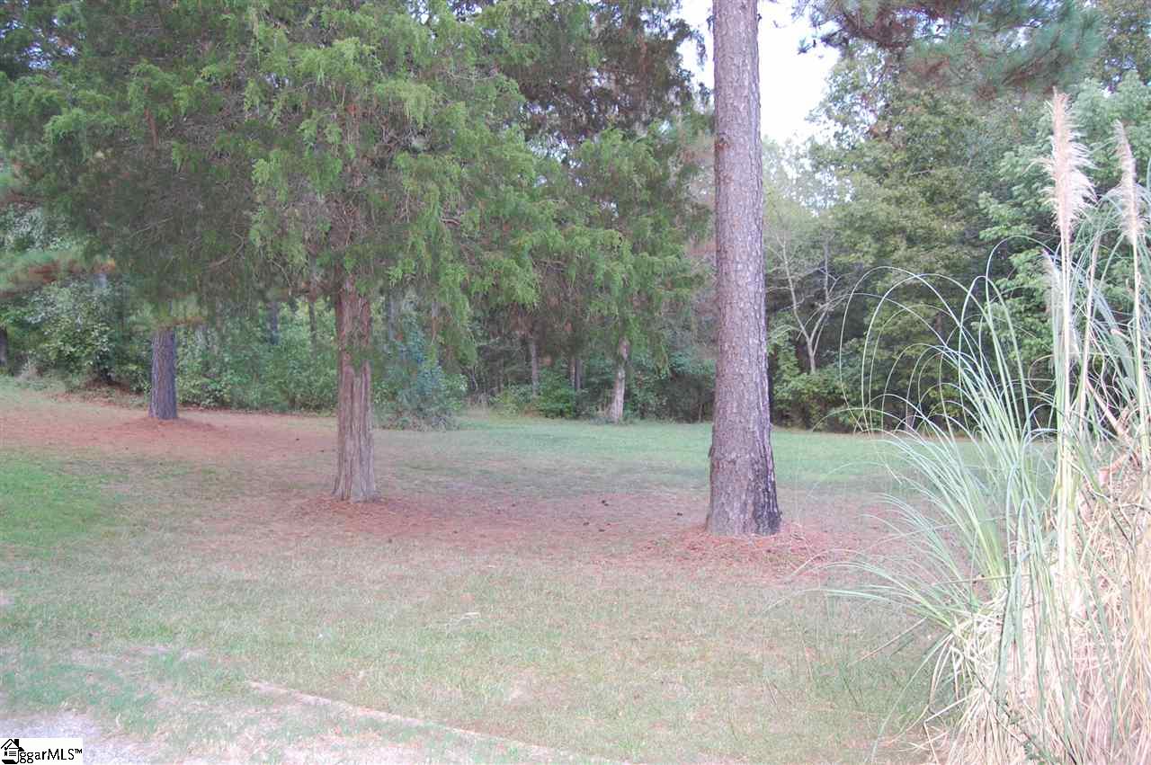 2351 Stomp Springs Road Clinton, SC 29325 - Photo 6 of 32
