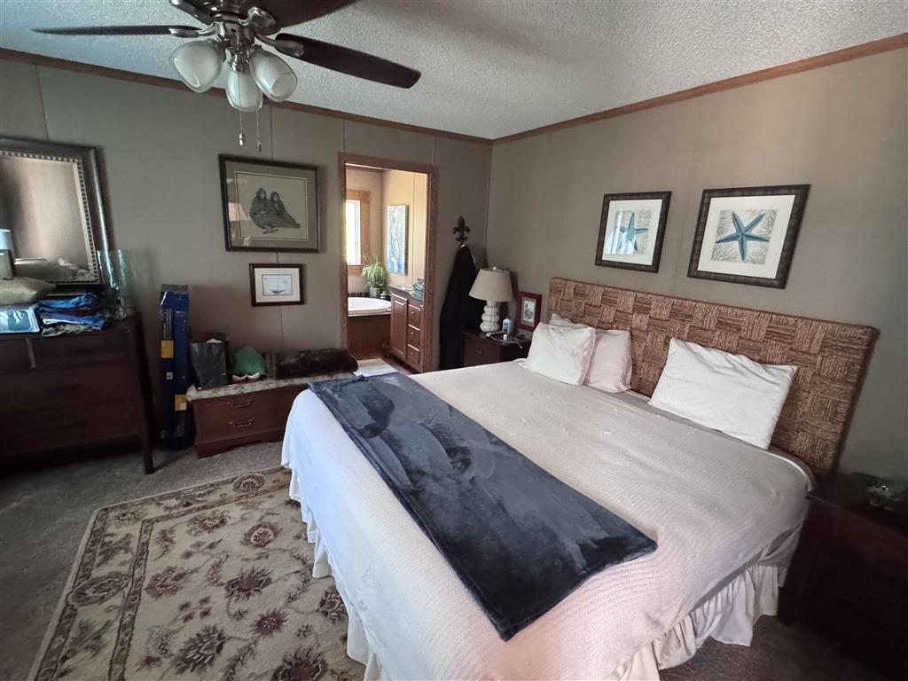 5116 Carpenters Bridge Road Kinder, LA 70648 - Photo 7 of 20