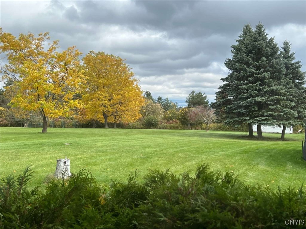 4124 Henneberry Road Manlius, NY 13104 - Photo 4 of 29