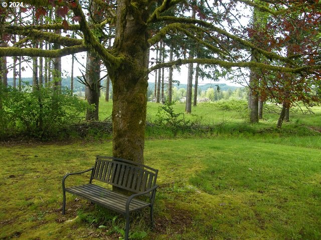 31568 Dowd Road St. Helens, OR 97051 - Photo 28 of 37 Gallery Image 28