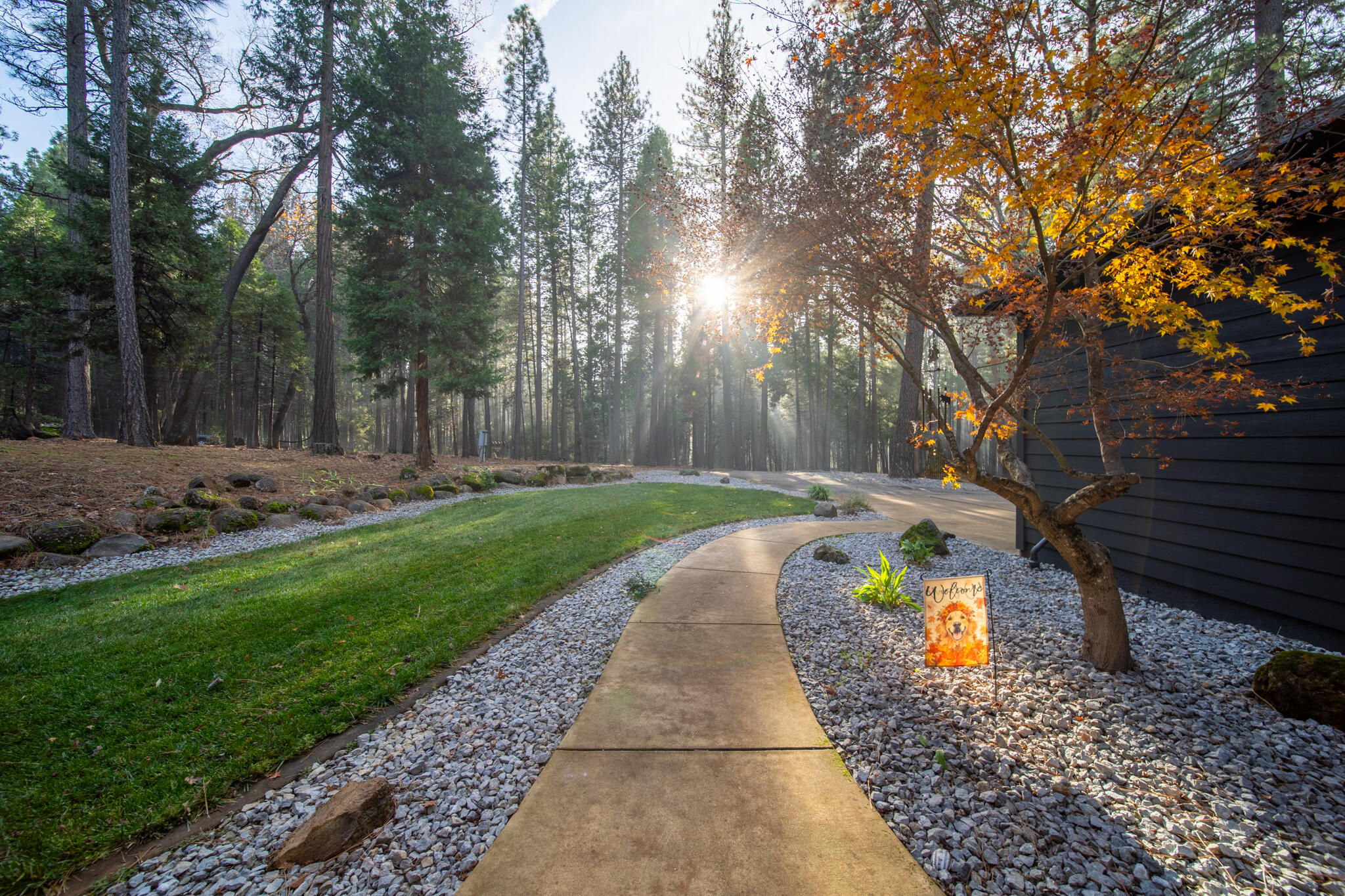 7795 Eastmoore Road Shingletown, CA 96088 - Photo 3 of 61 a view of a pathway with a yard