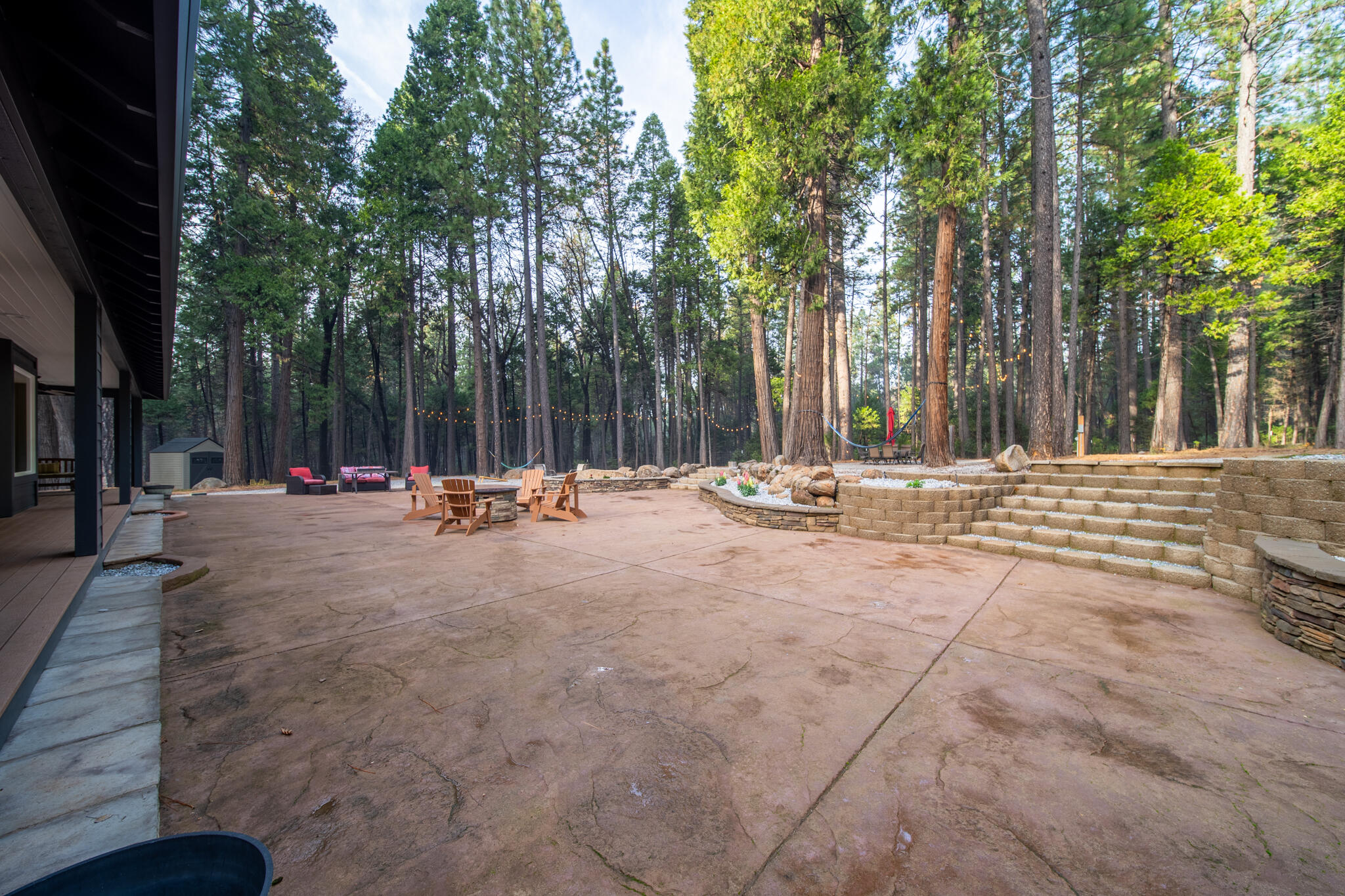 7795 Eastmoore Road Shingletown, CA 96088 - Photo 42 of 61 a view of outdoor space with trees