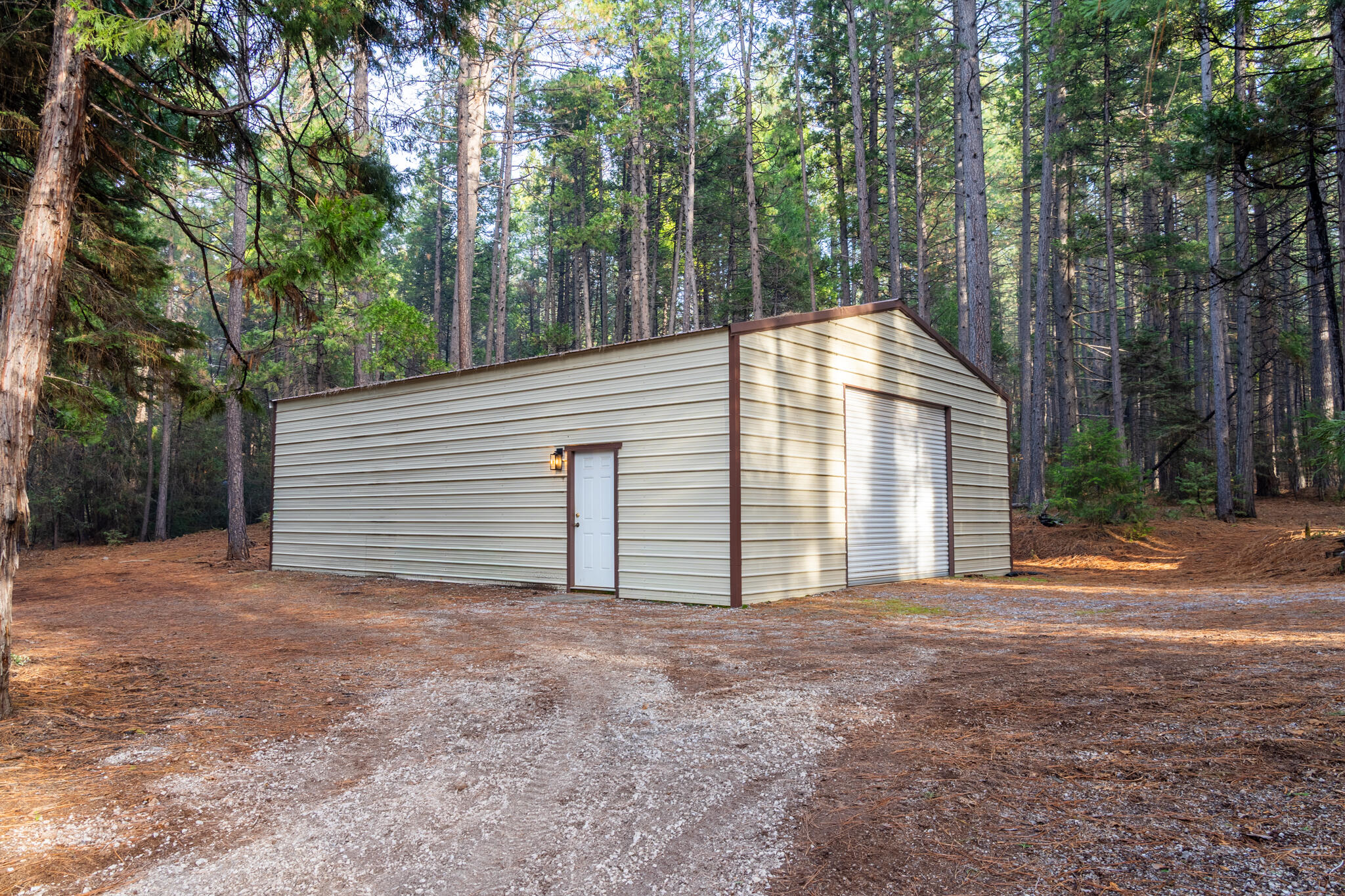 7795 Eastmoore Road Shingletown, CA 96088 - Photo 5 of 61 a backyard of a house with large trees and outdoor seating