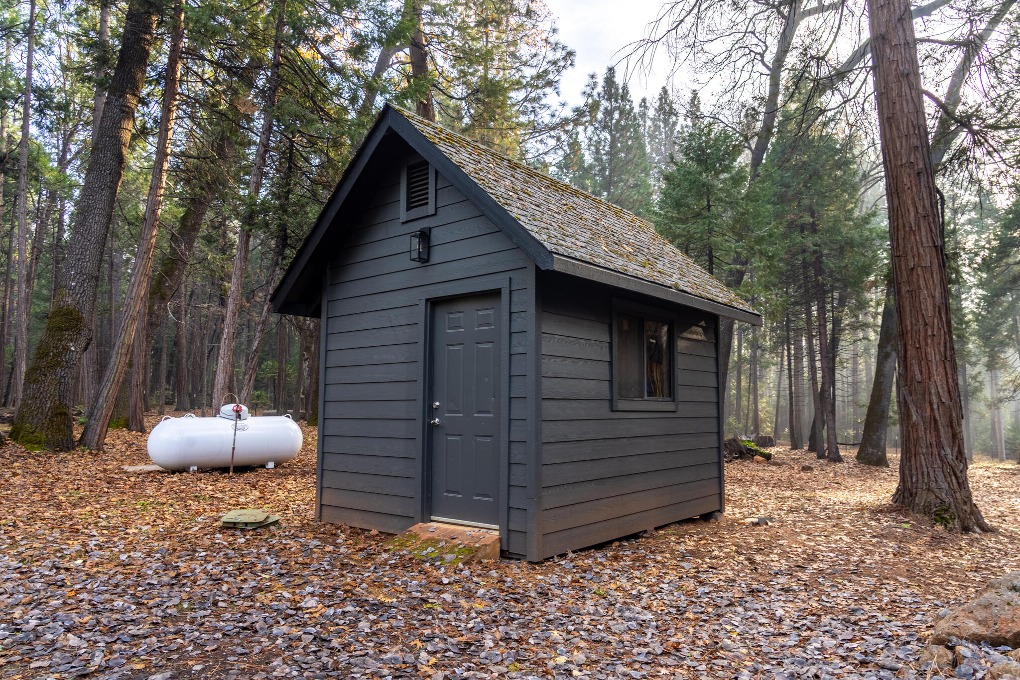 7795 Eastmoore Road Shingletown, CA 96088 - Photo 52 of 61 a view of a house with a backyard space and tree