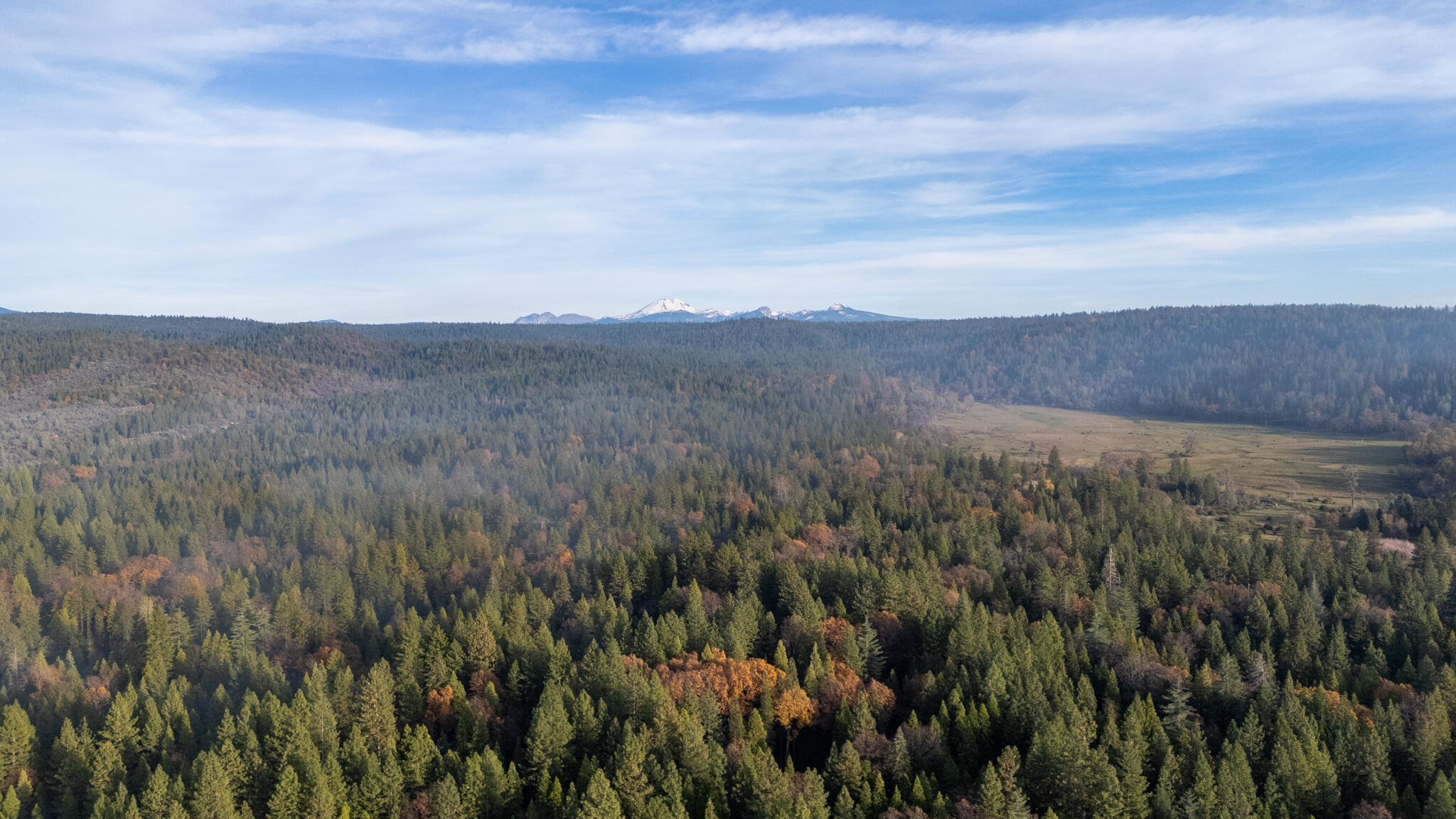 7795 Eastmoore Road Shingletown, CA 96088 - Photo 57 of 61 a view of a mountain in the distance in a field